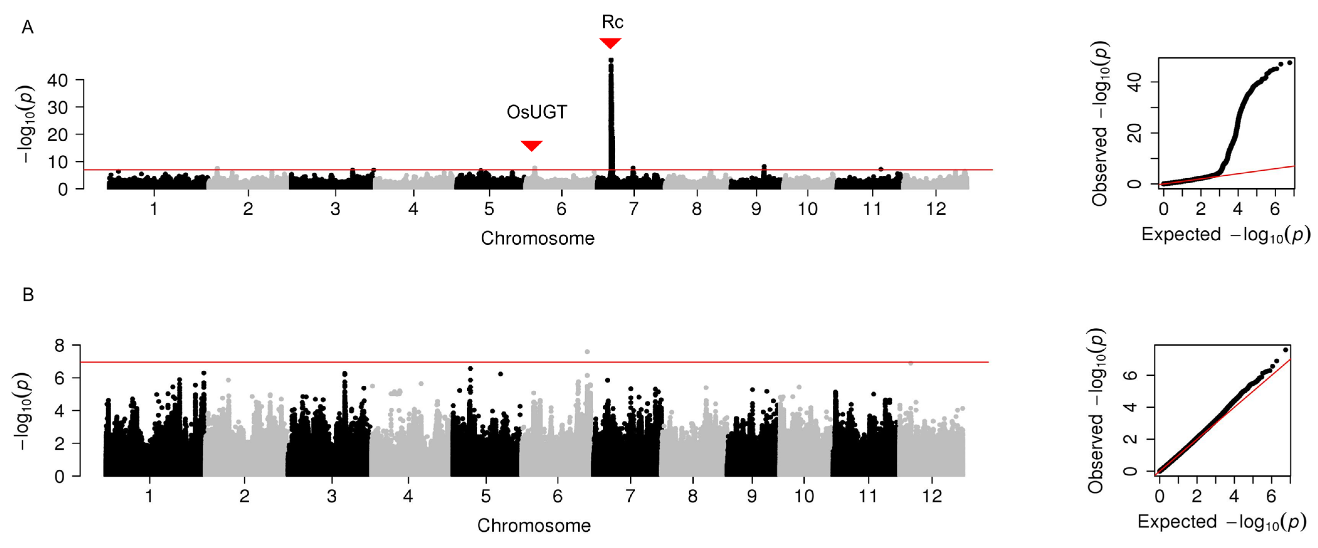 Plants 12 00927 g004