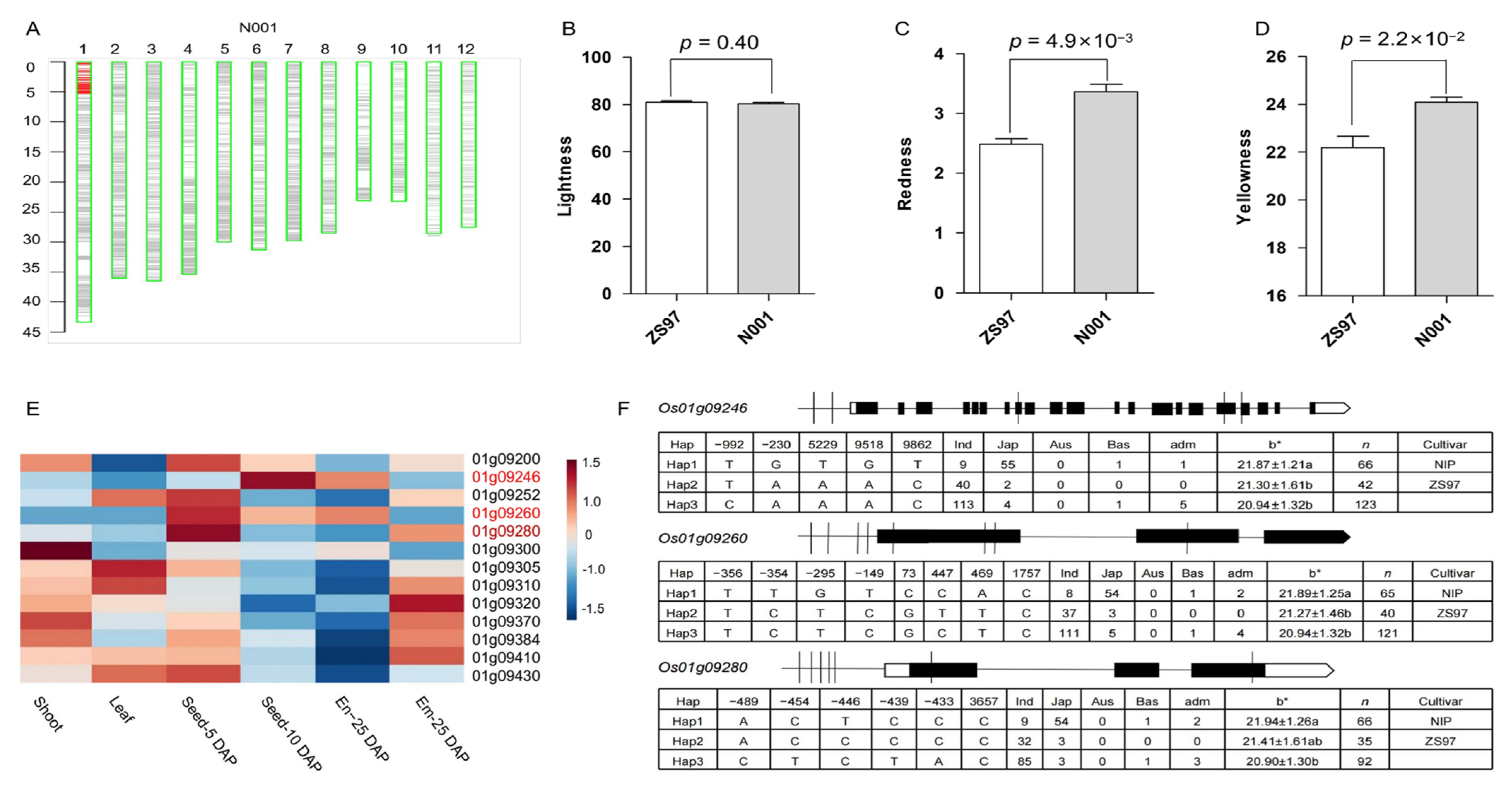 Plants 12 00927 g006