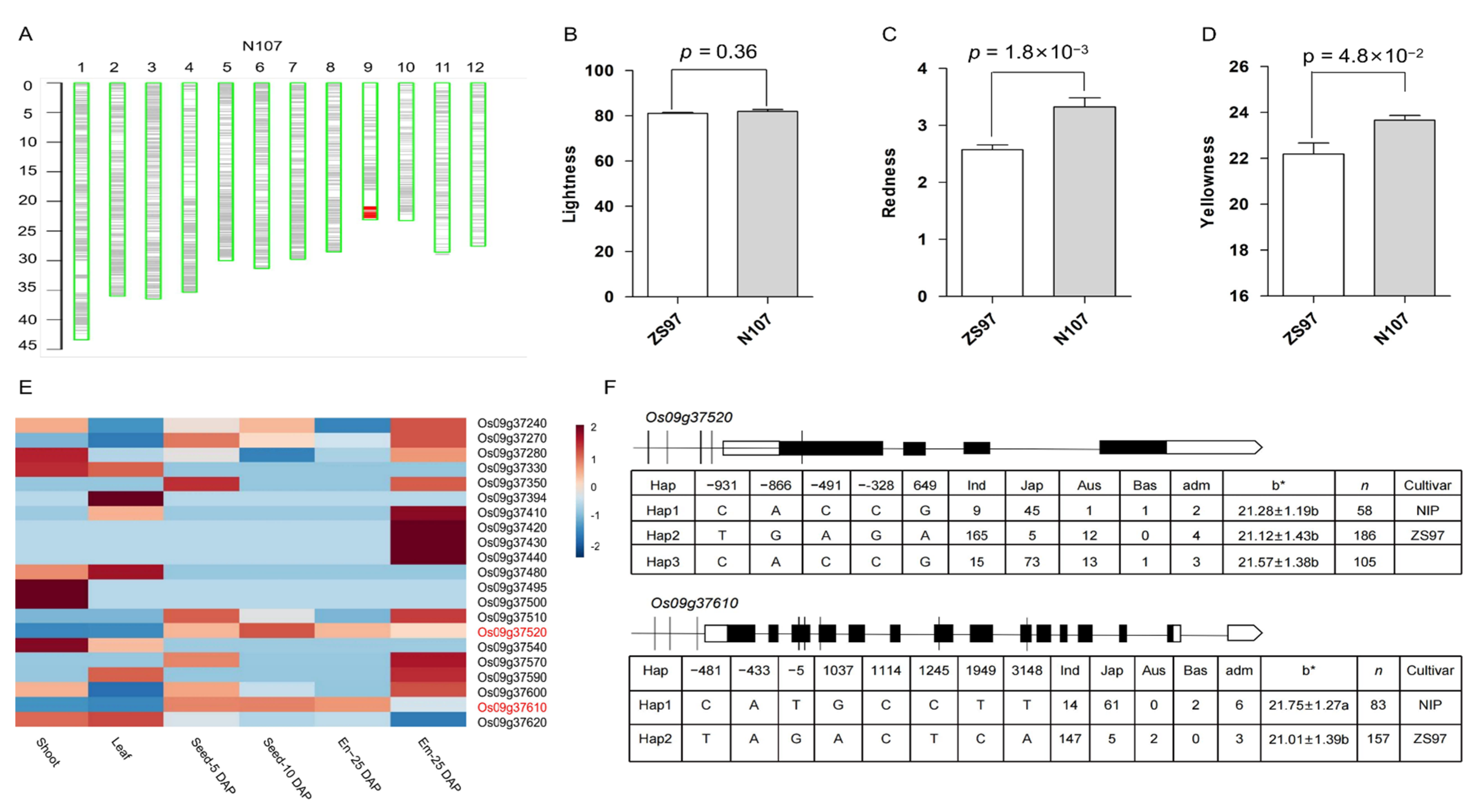 Plants 12 00927 g007