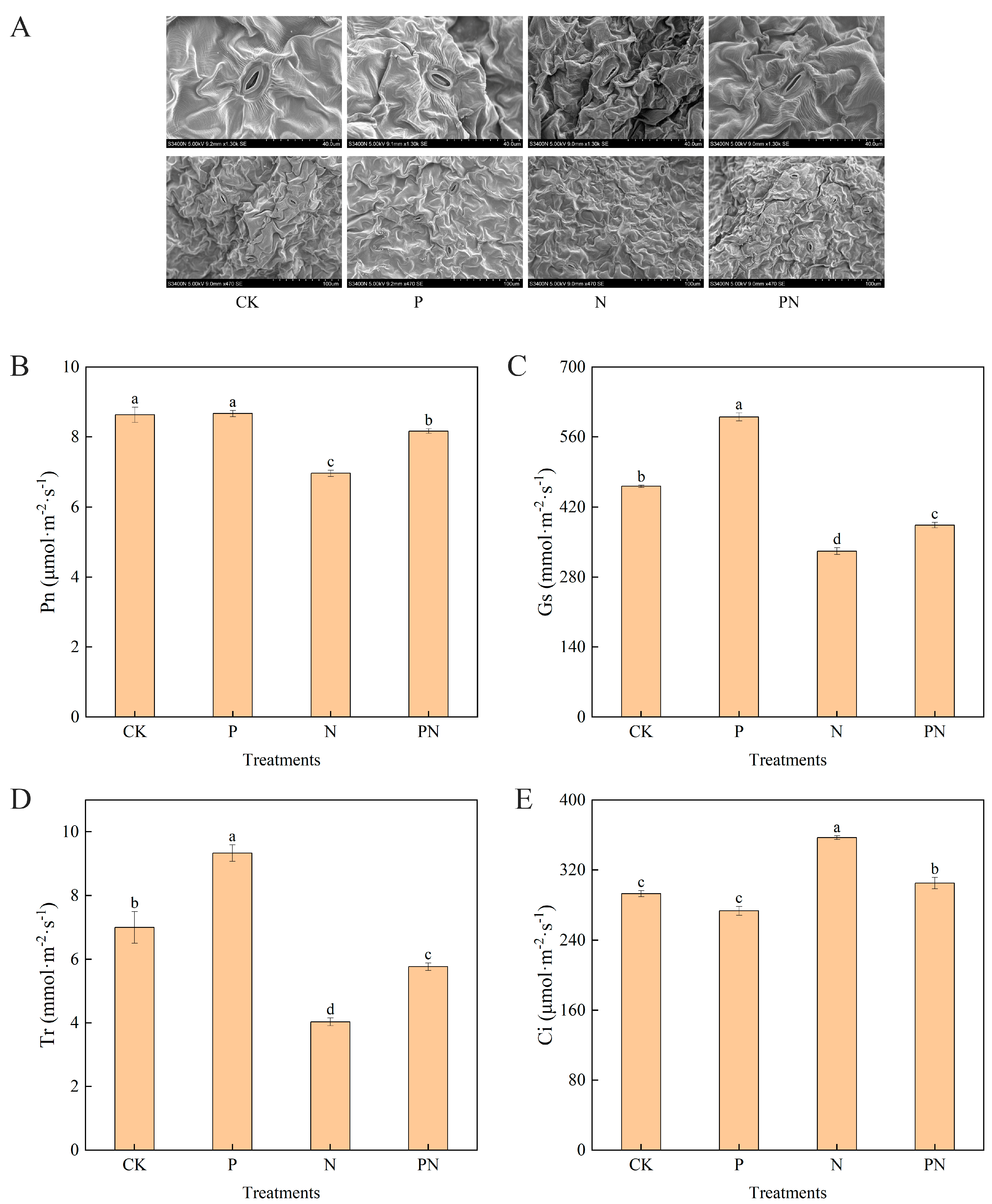Plants 12 00928 g002 Plants 12 00928 g002