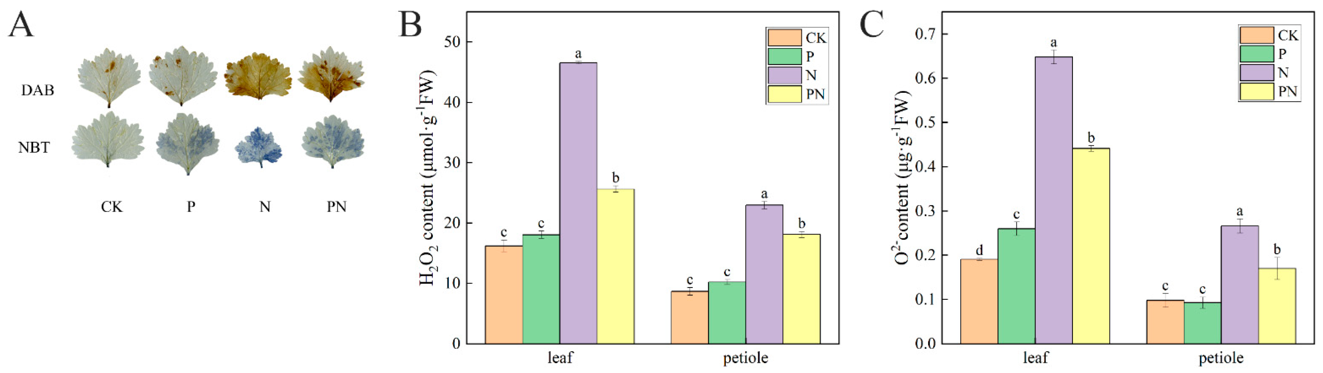 Plants 12 00928 g007 Plants 12 00928 g007
