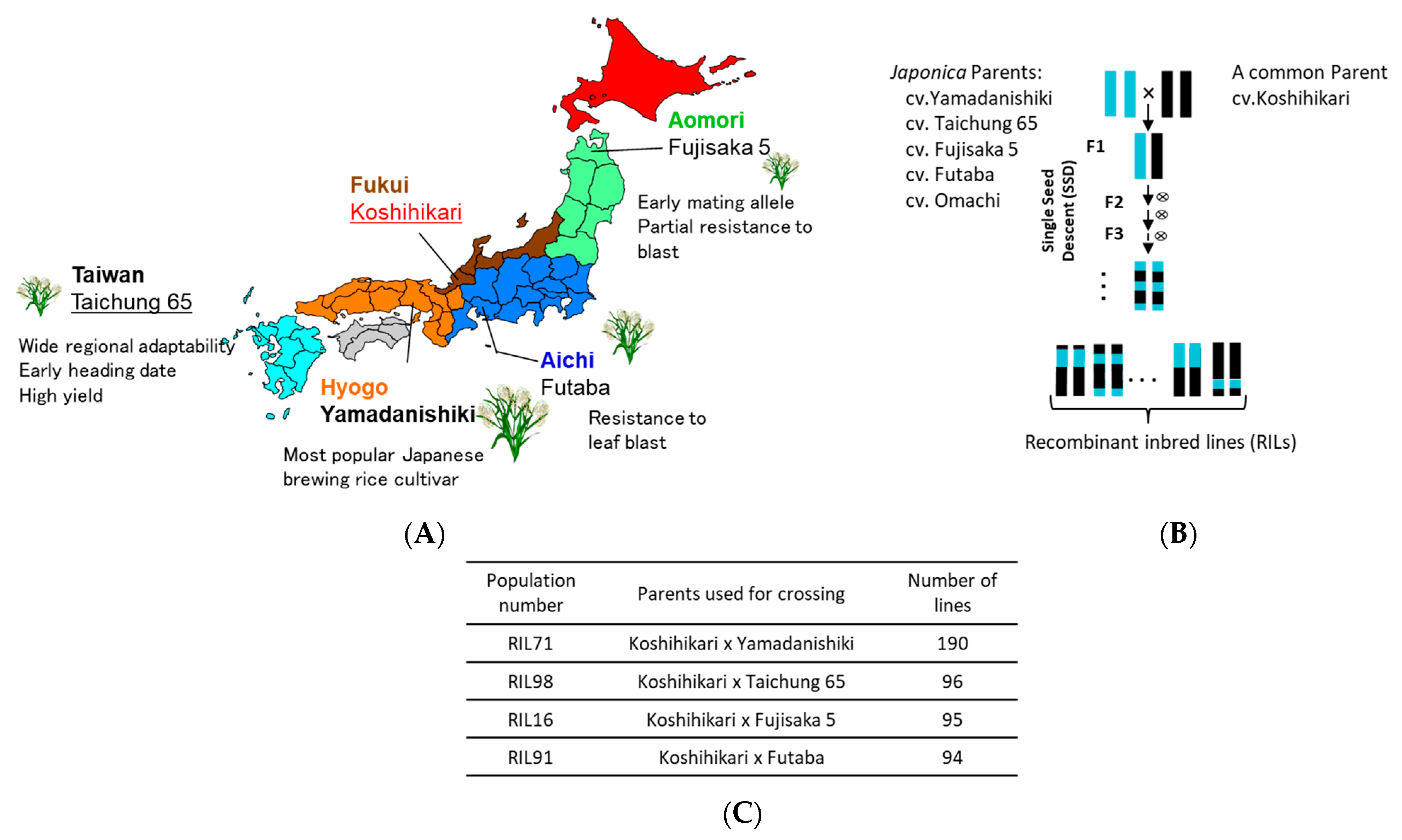 Plants 12 00929 g001 Plants 12 00929 g001