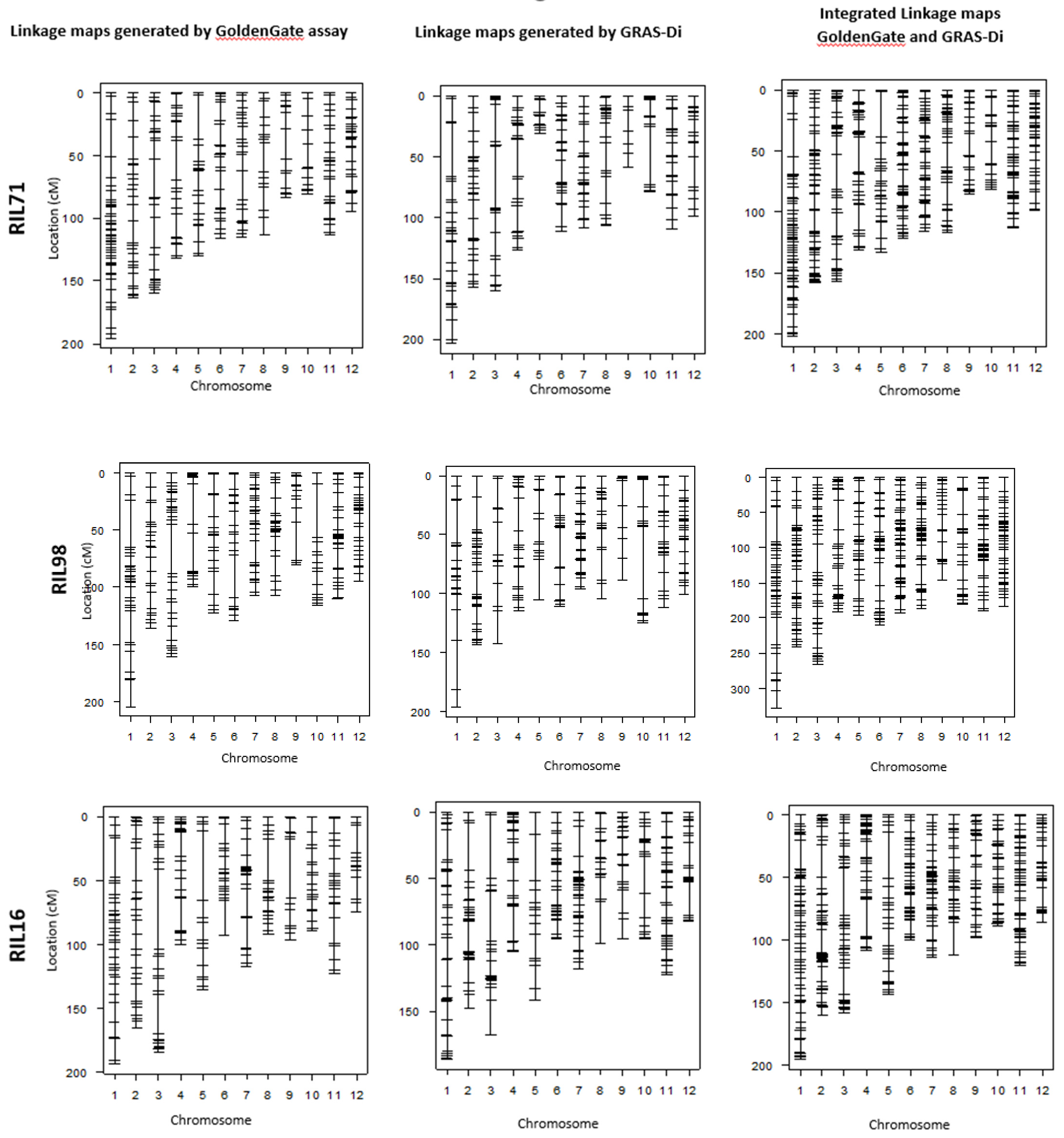 Plants 12 00929 g003a Plants 12 00929 g003a