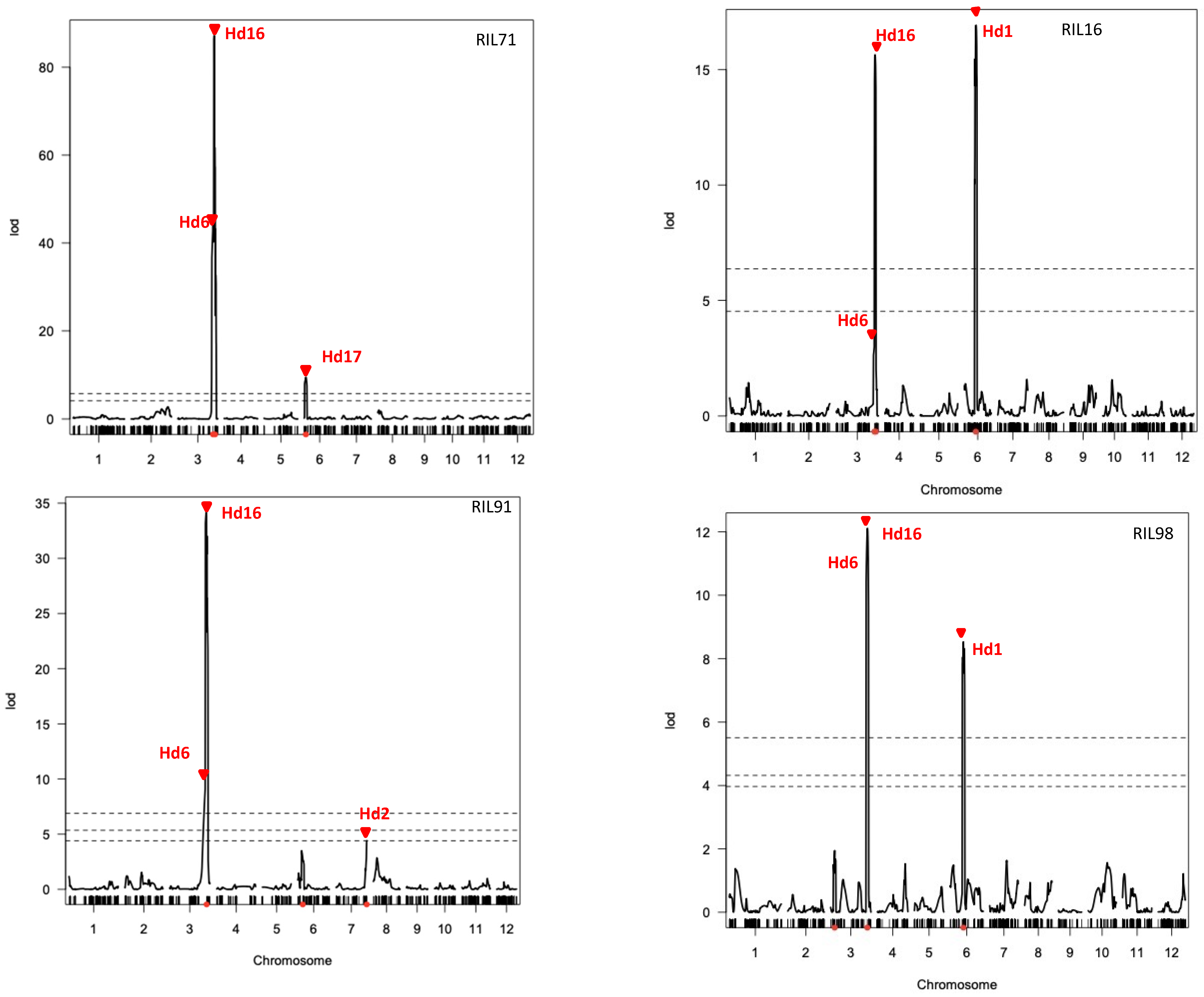 Plants 12 00929 g005 Plants 12 00929 g005
