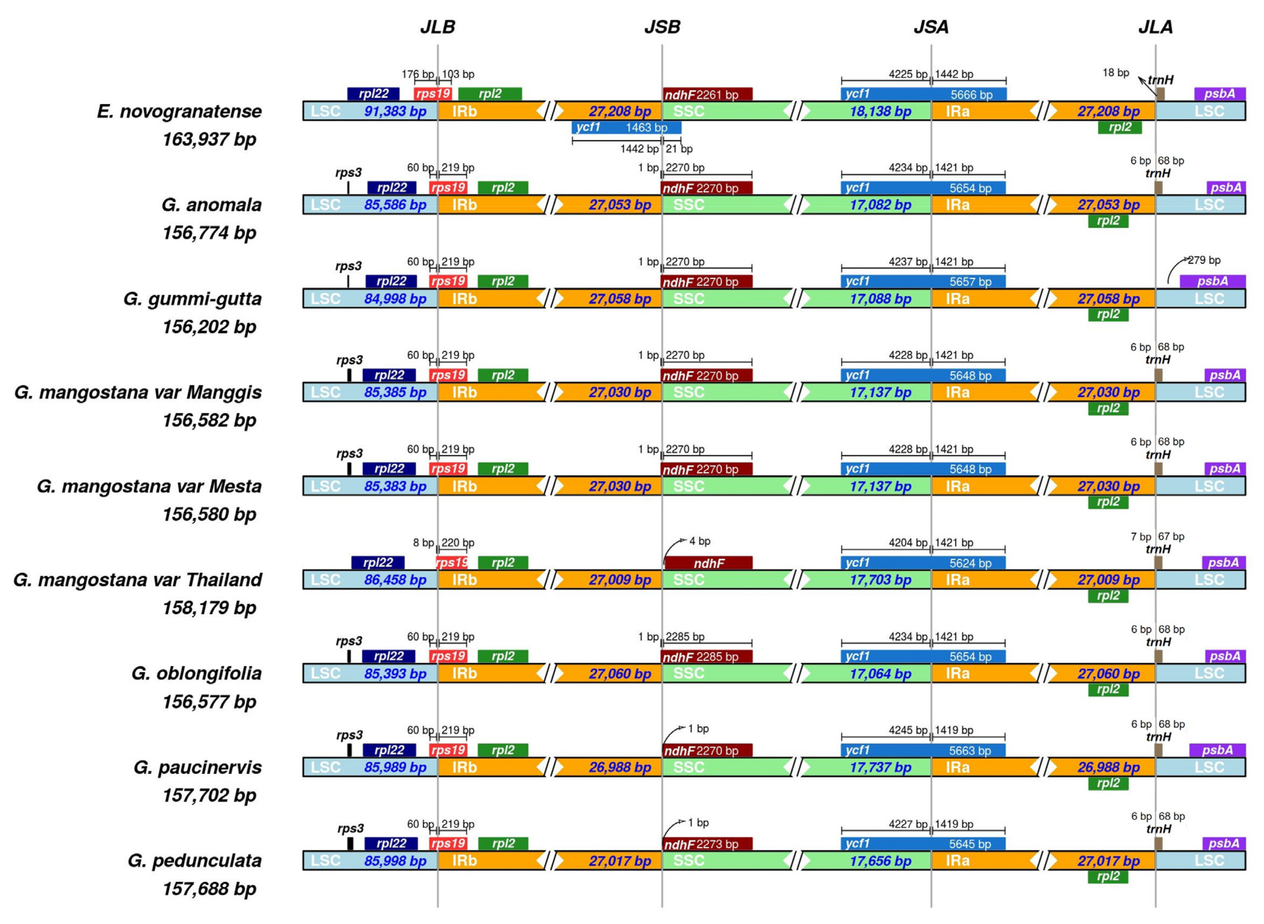 Plants 12 00930 g004 Plants 12 00930 g004