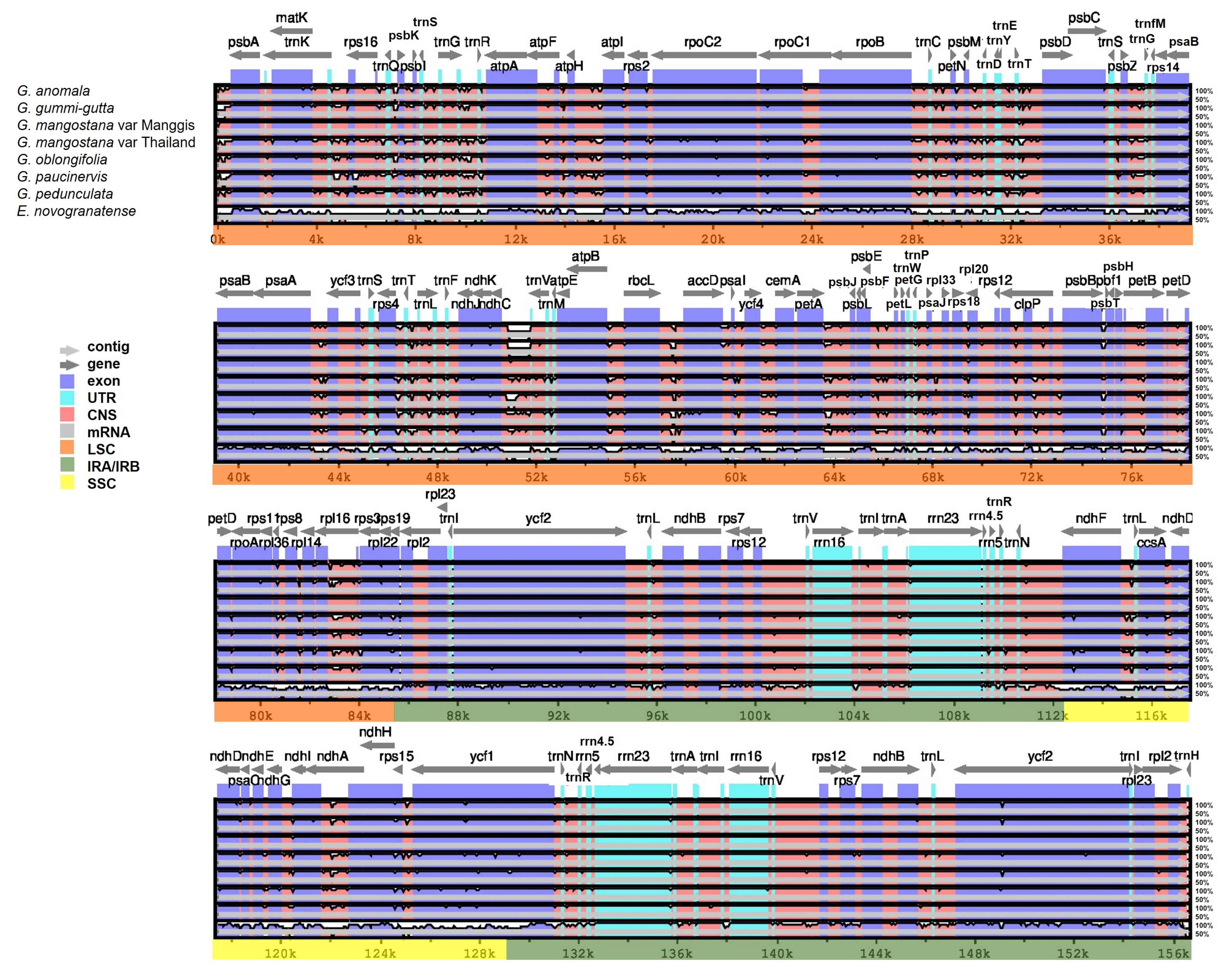 Plants 12 00930 g005 Plants 12 00930 g005