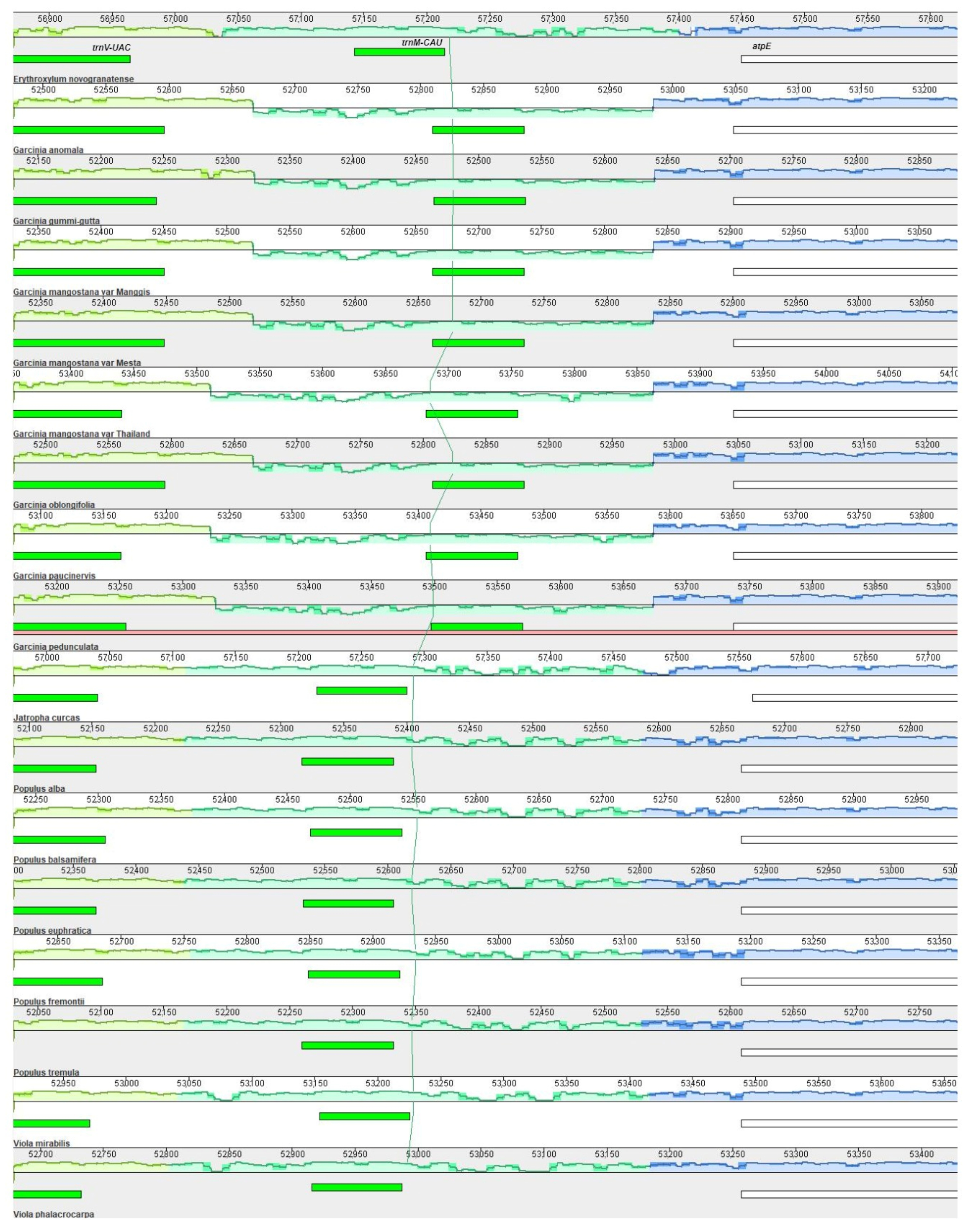 Plants 12 00930 g006 Plants 12 00930 g006