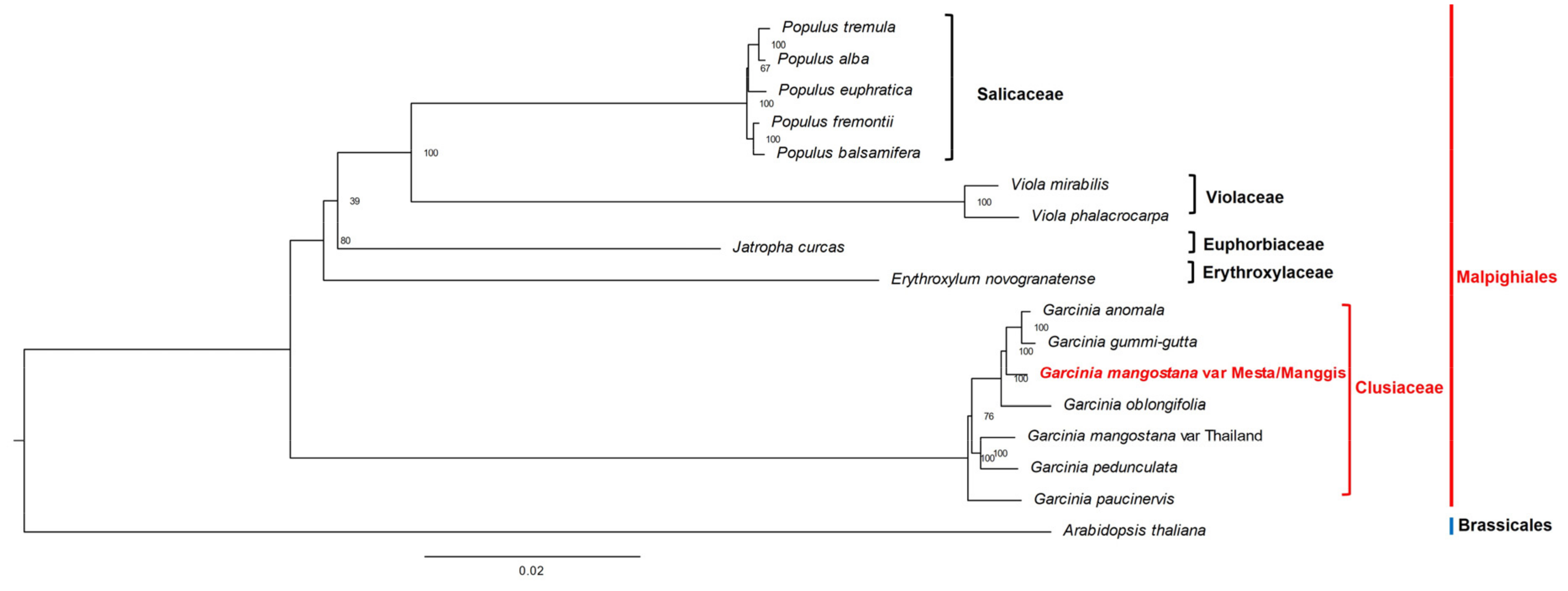 Plants 12 00930 g007 Plants 12 00930 g007