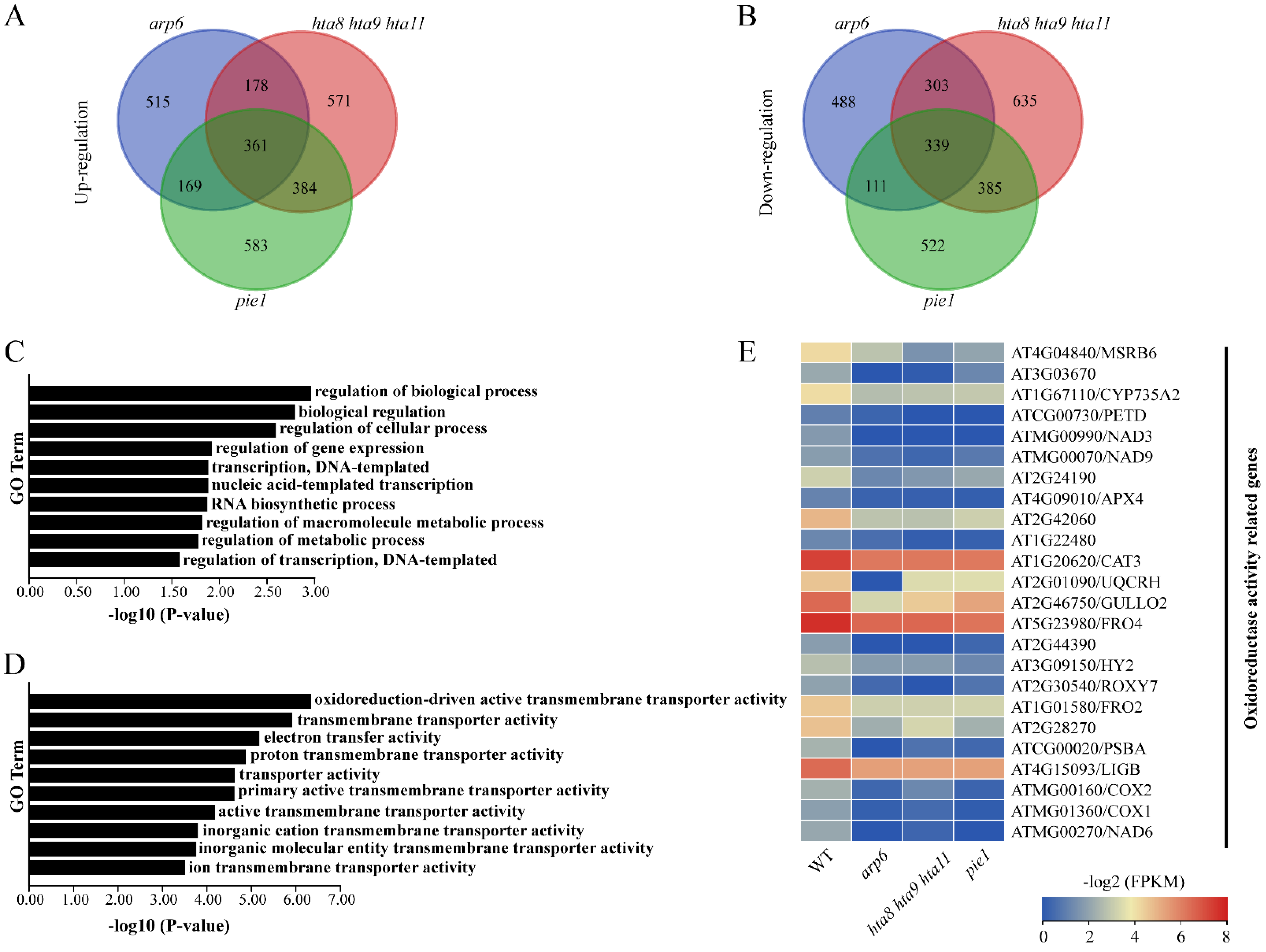 Plants 12 00940 g002