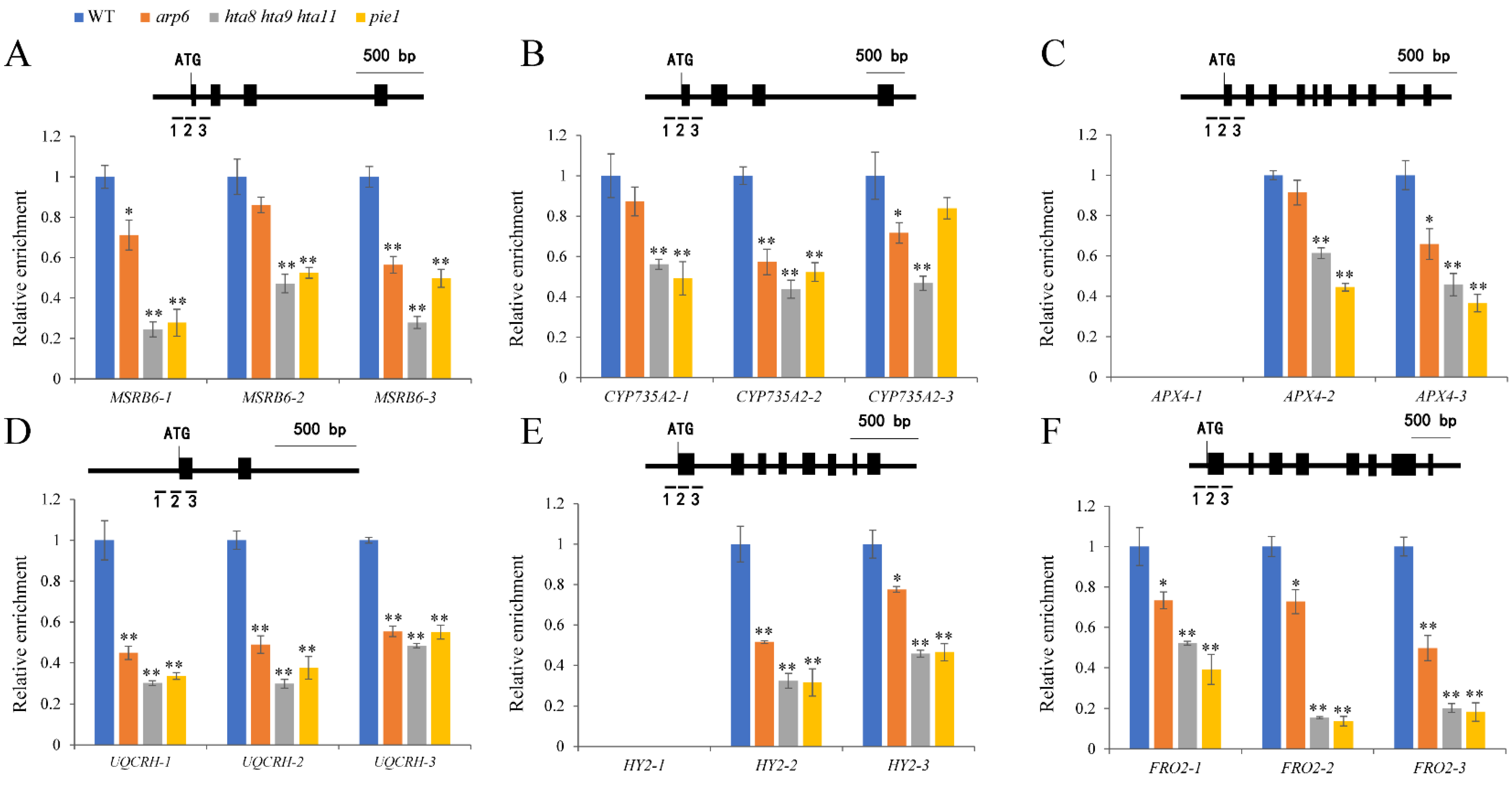 Plants 12 00940 g005