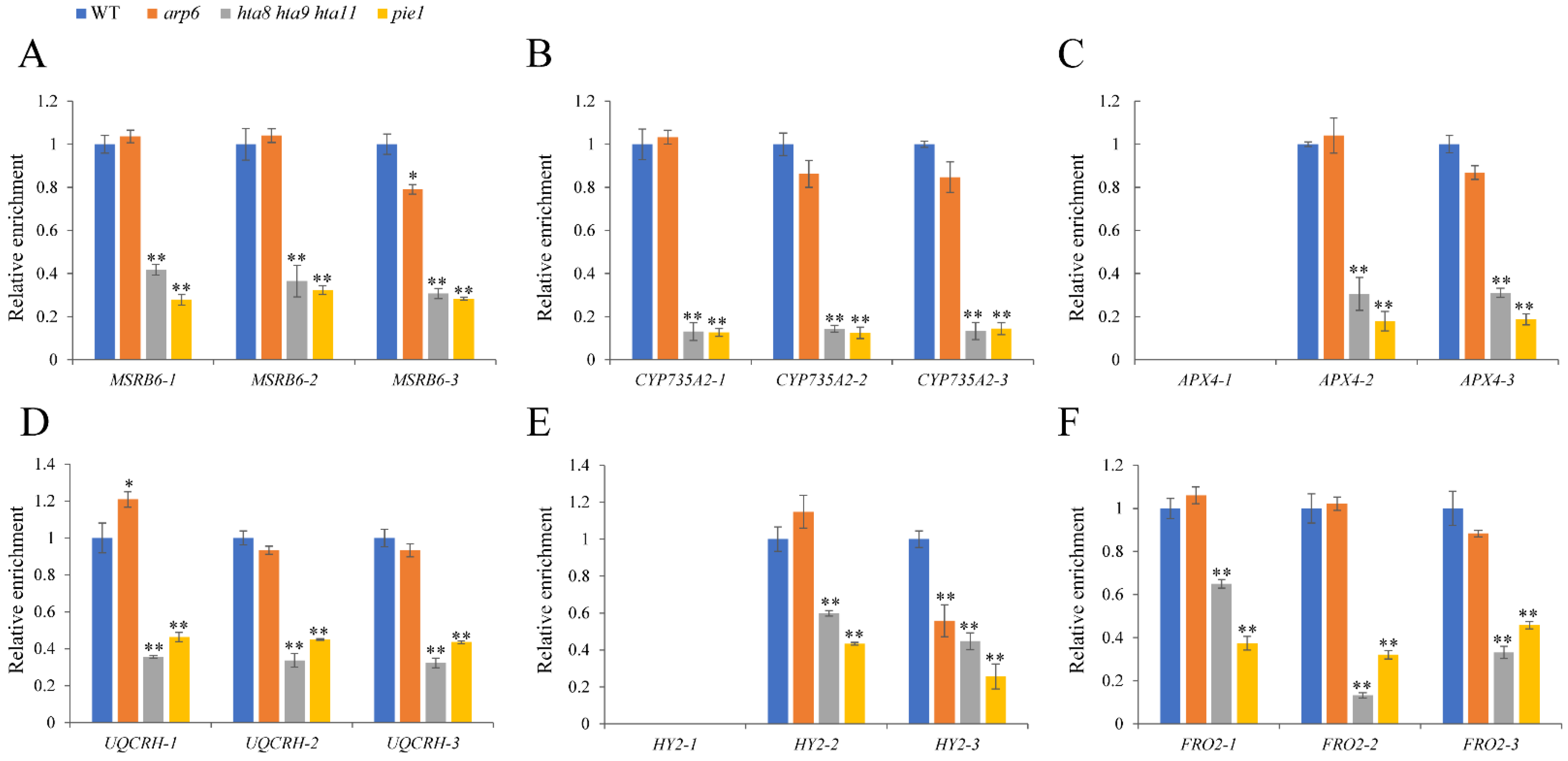 Plants 12 00940 g006
