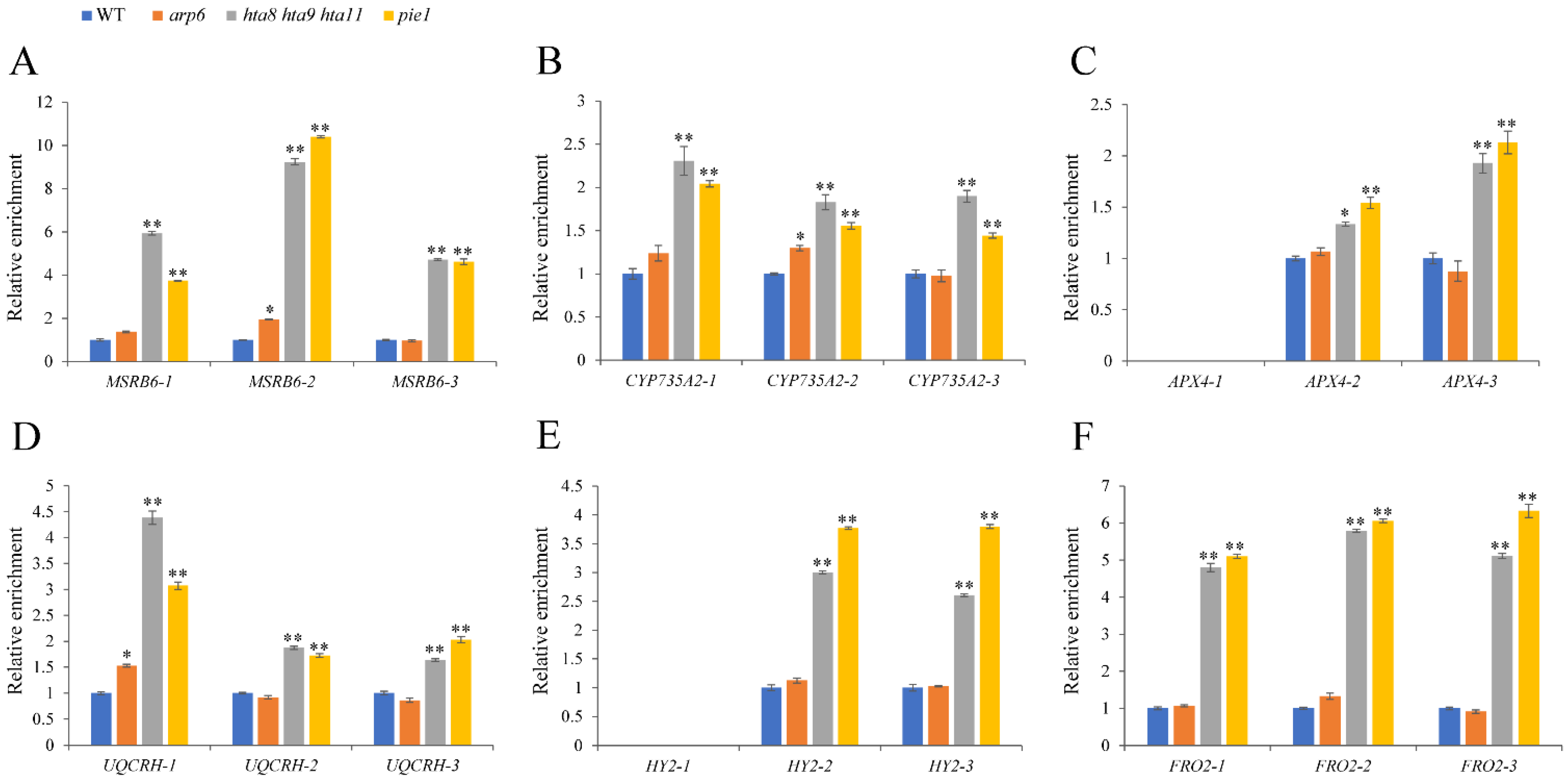 Plants 12 00940 g008
