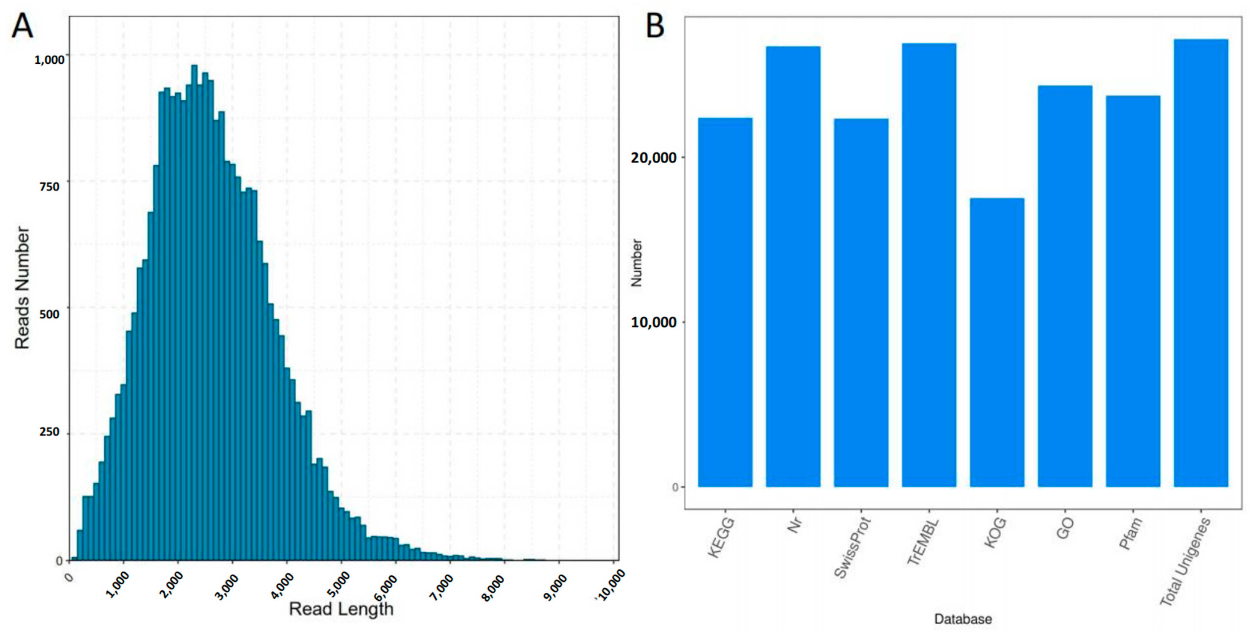 Plants 12 00942 g001 Plants 12 00942 g001
