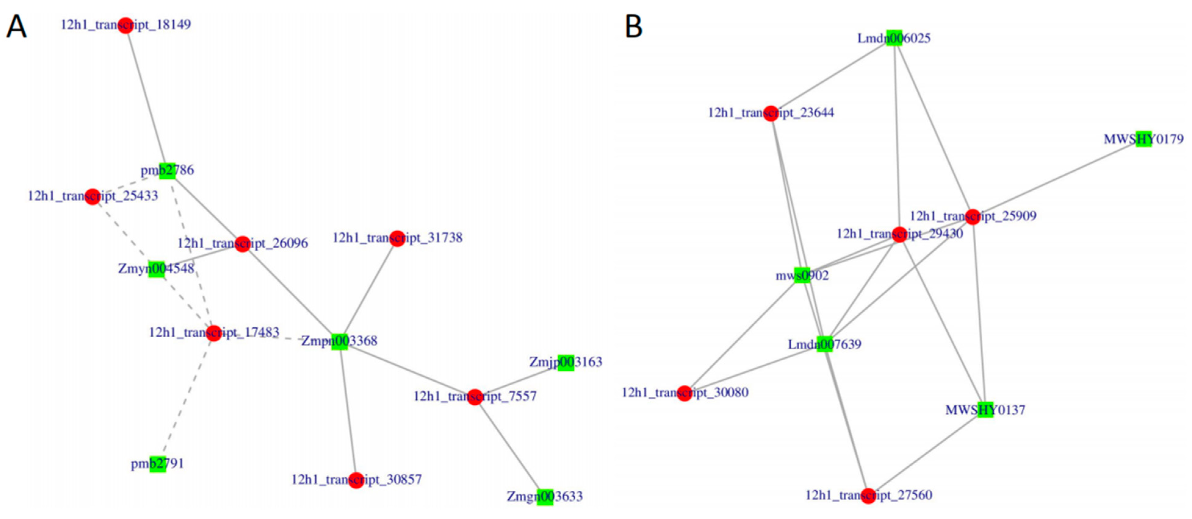 Plants 12 00942 g007 Plants 12 00942 g007