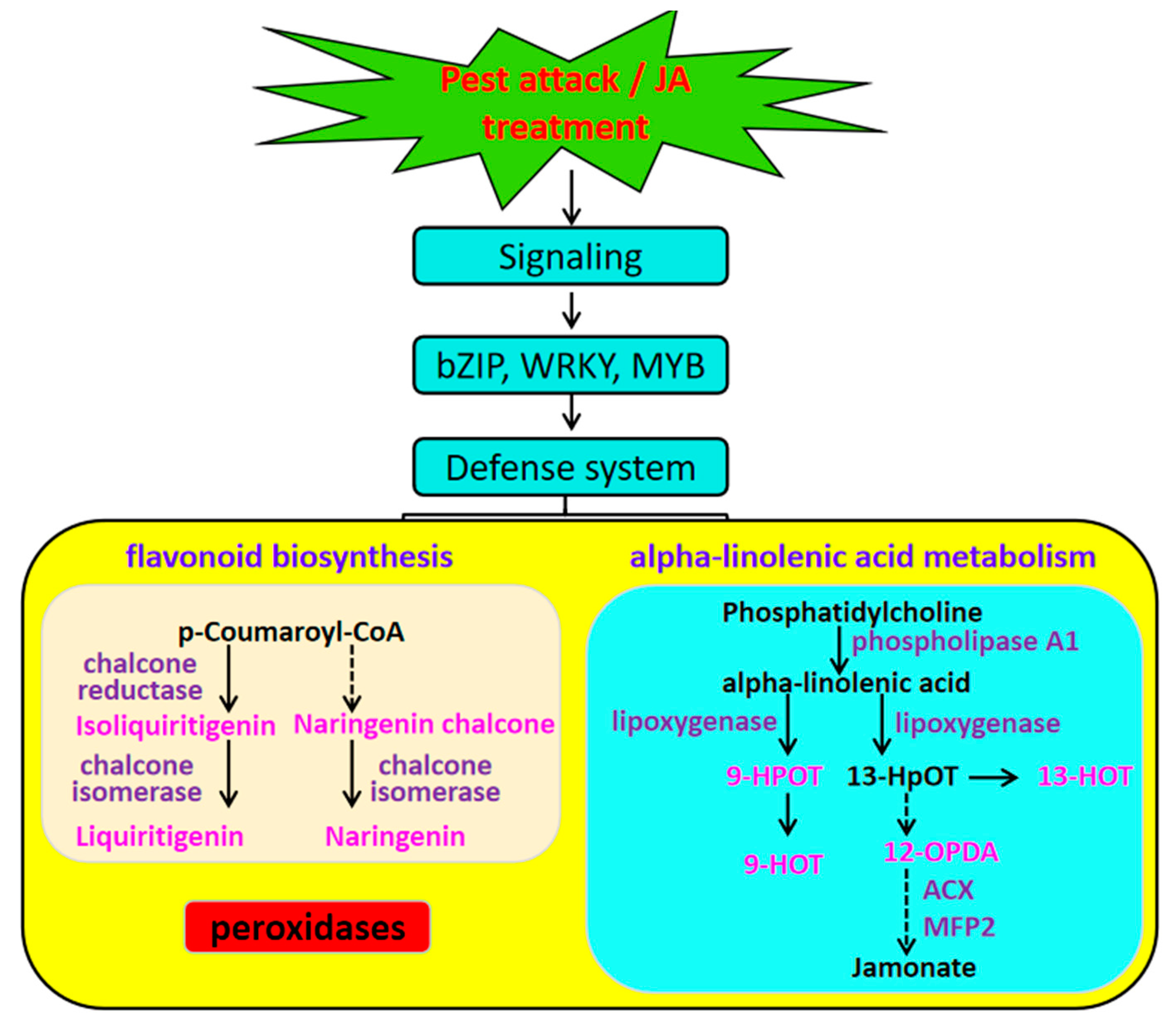 Plants 12 00942 g008 Plants 12 00942 g008