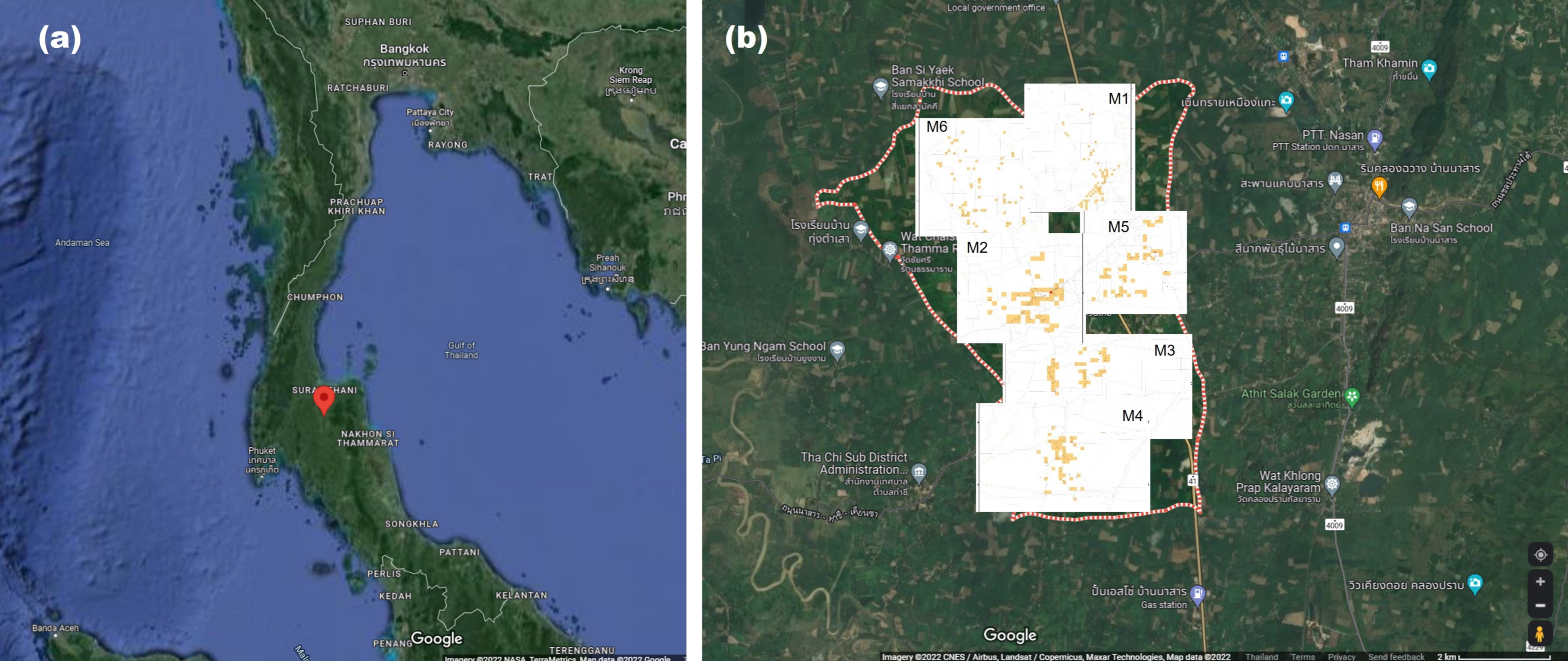 Plants 12 00949 g002 Plants 12 00949 g002