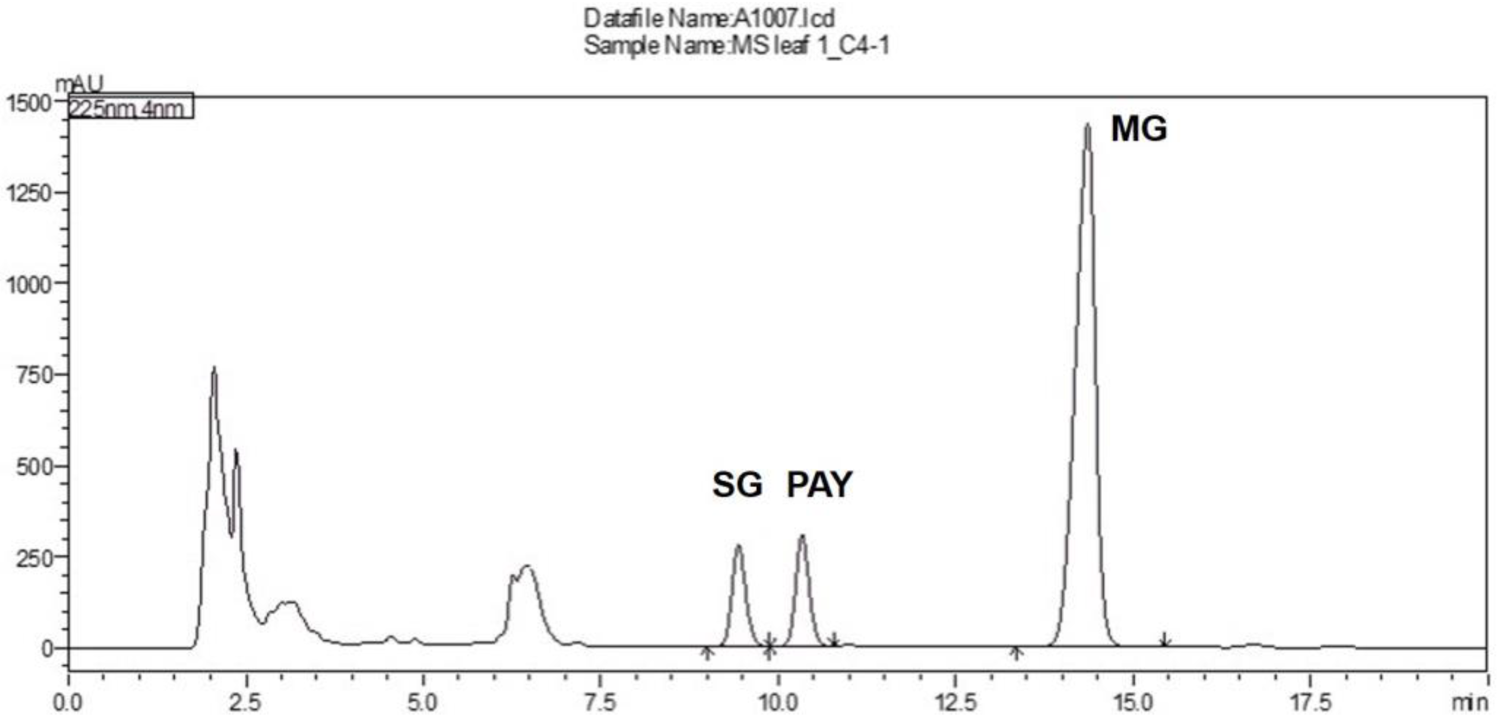 Plants 12 00949 g005 Plants 12 00949 g005