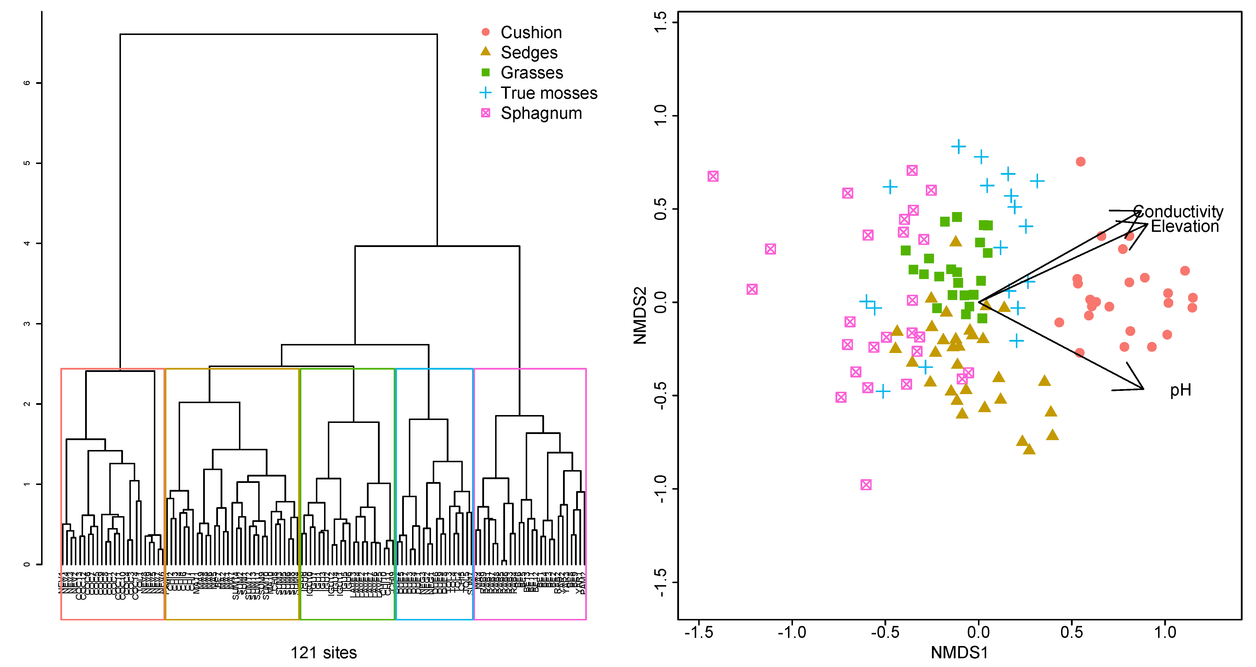 Plants 12 00955 g002 Plants 12 00955 g002