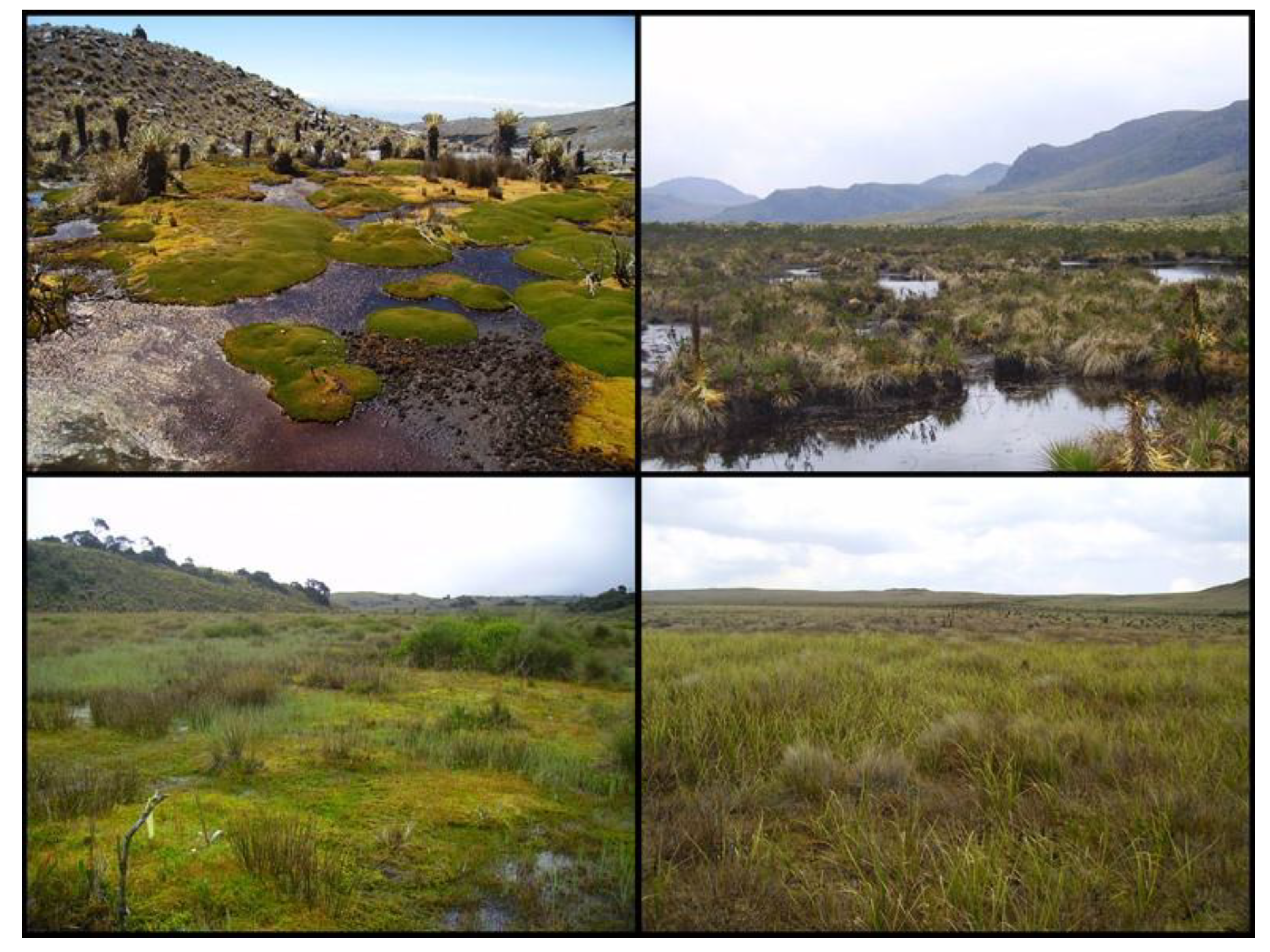 Plants 12 00955 g003 Plants 12 00955 g003