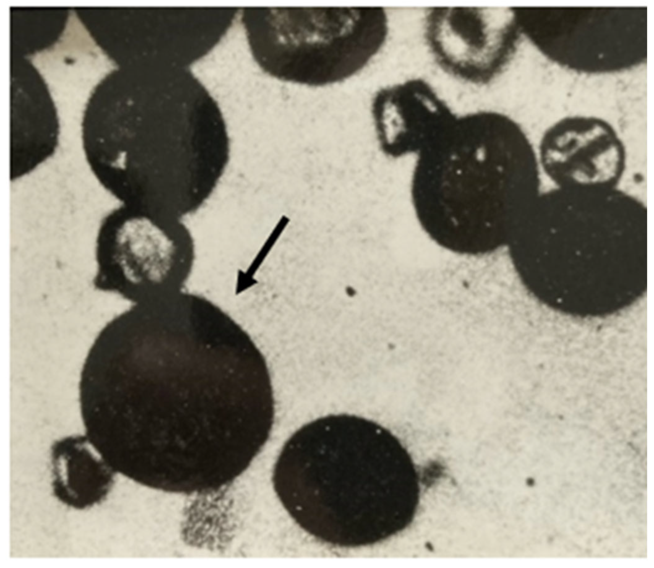 Plants 12 00962 g001 Plants 12 00962 g001