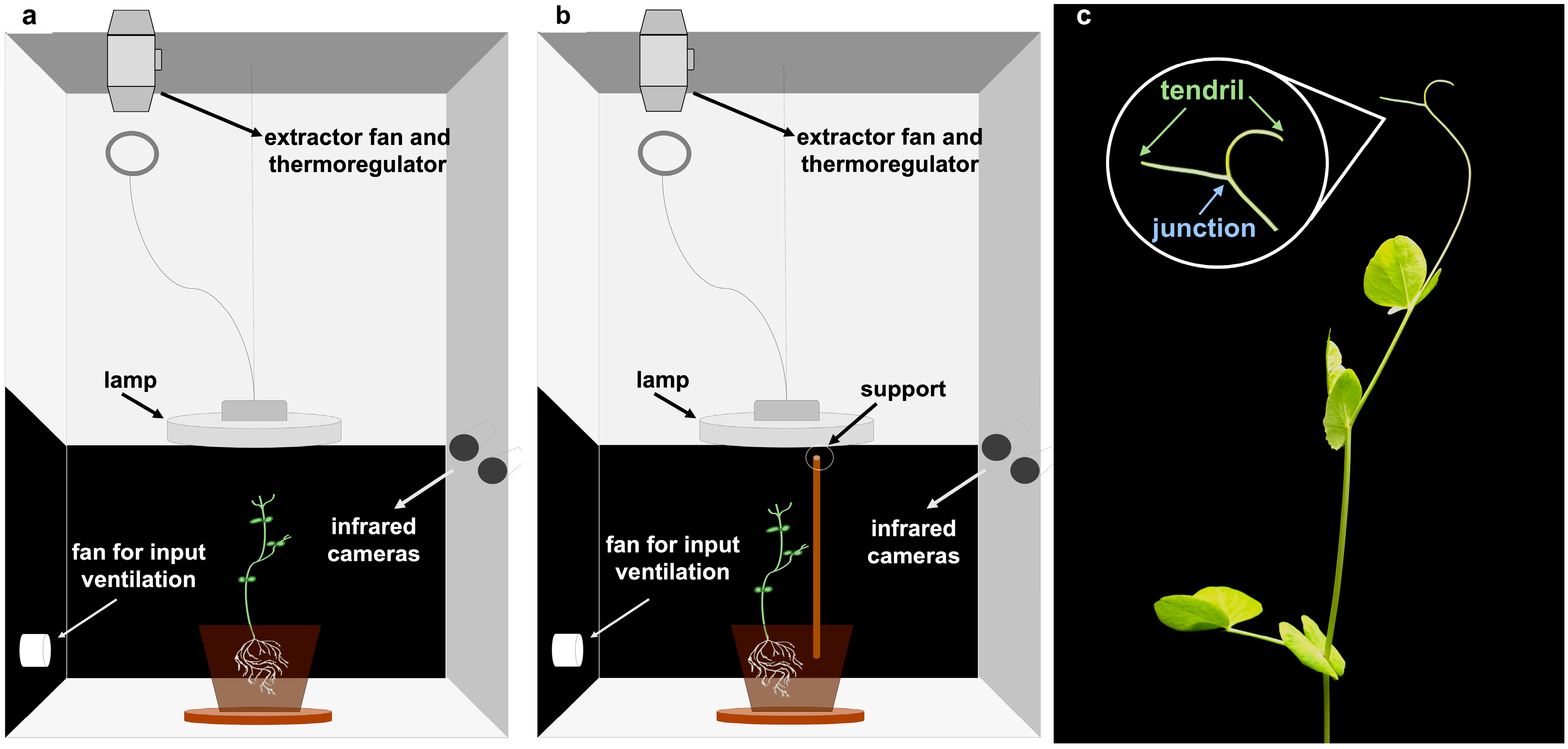 Plants 12 00965 g001