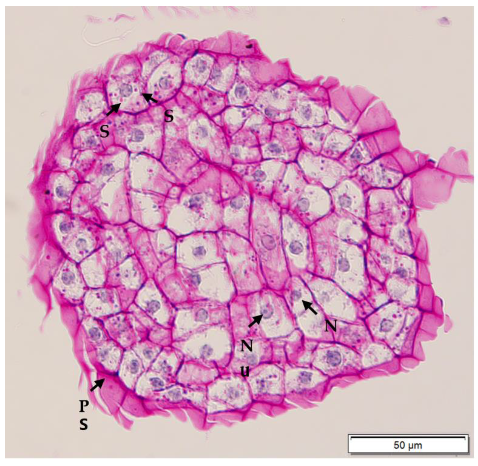 Plants 12 00968 g010