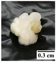 Plants 12 00968 i001