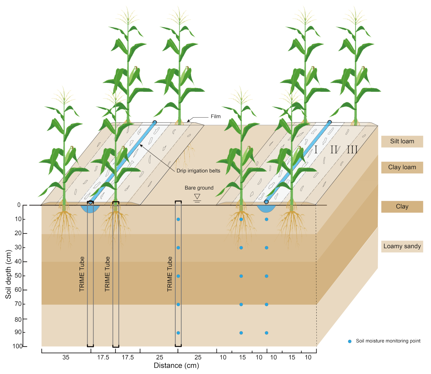 Plants 12 00975 g001