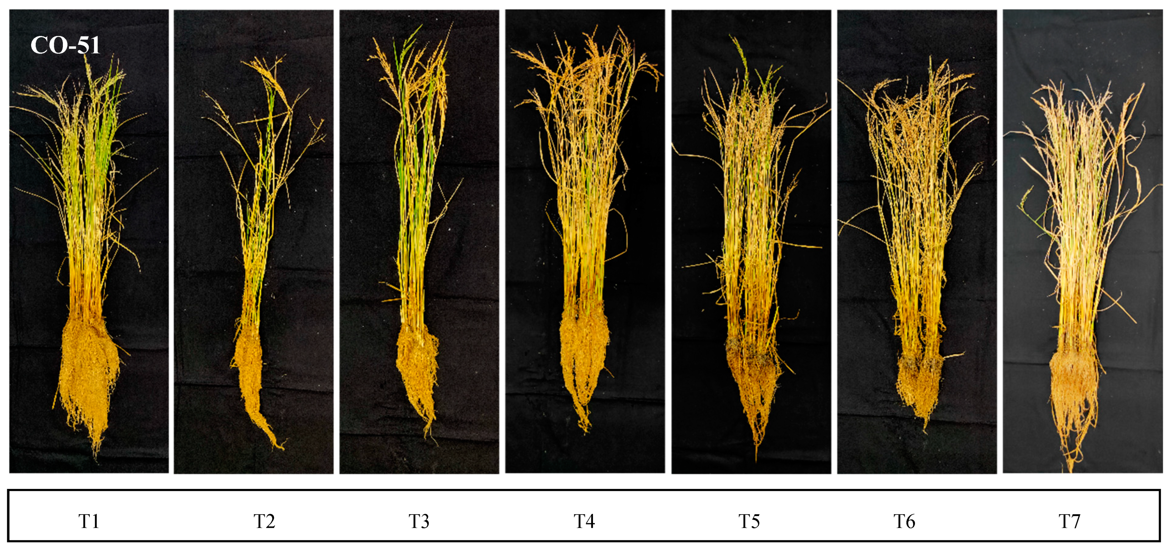 Plants 12 00976 g002a