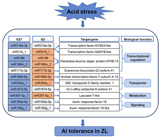 abc Synergistic resistance of Helicoverpa armigera to Bt toxins