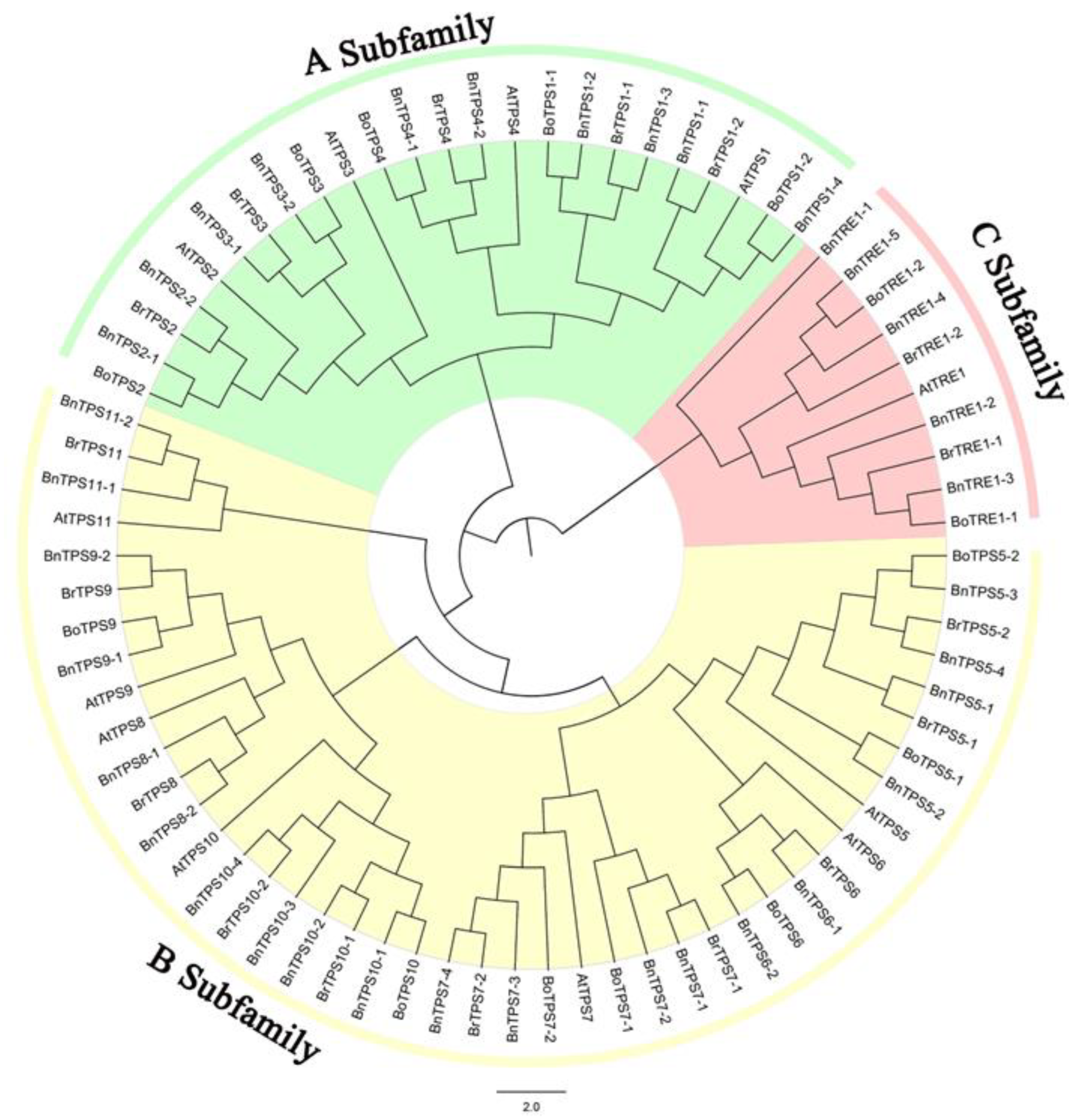 Plants 12 00981 g001 Plants 12 00981 g001