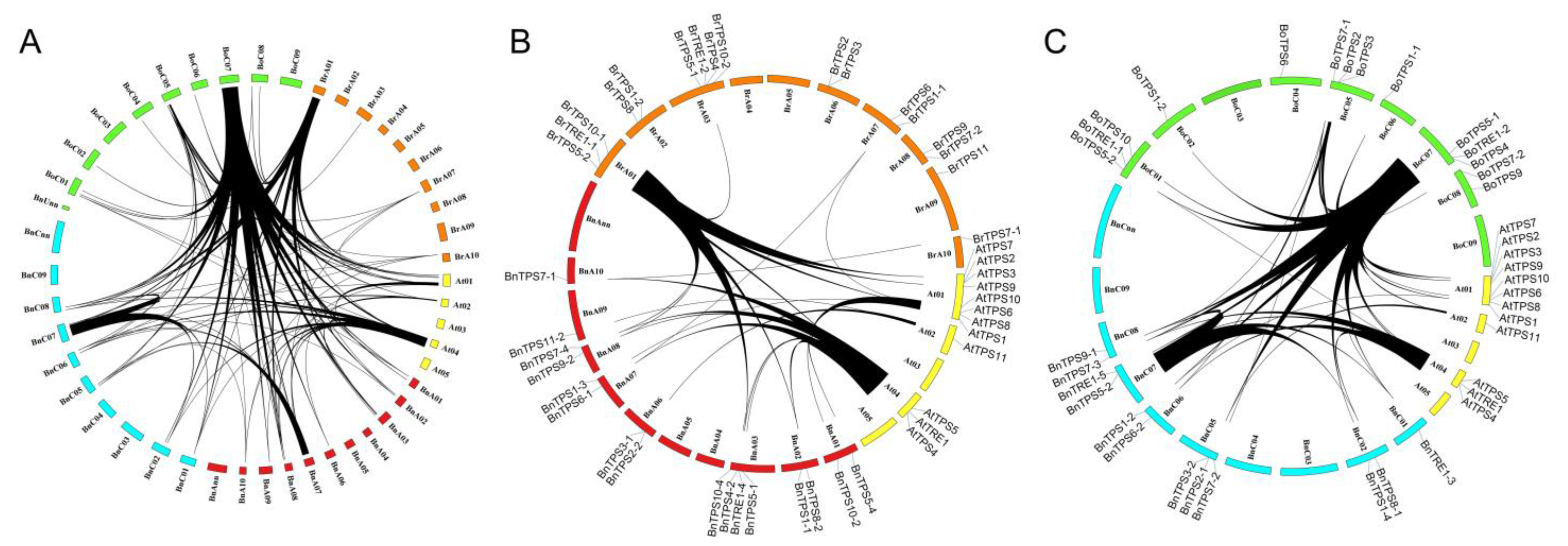 Plants 12 00981 g002 Plants 12 00981 g002