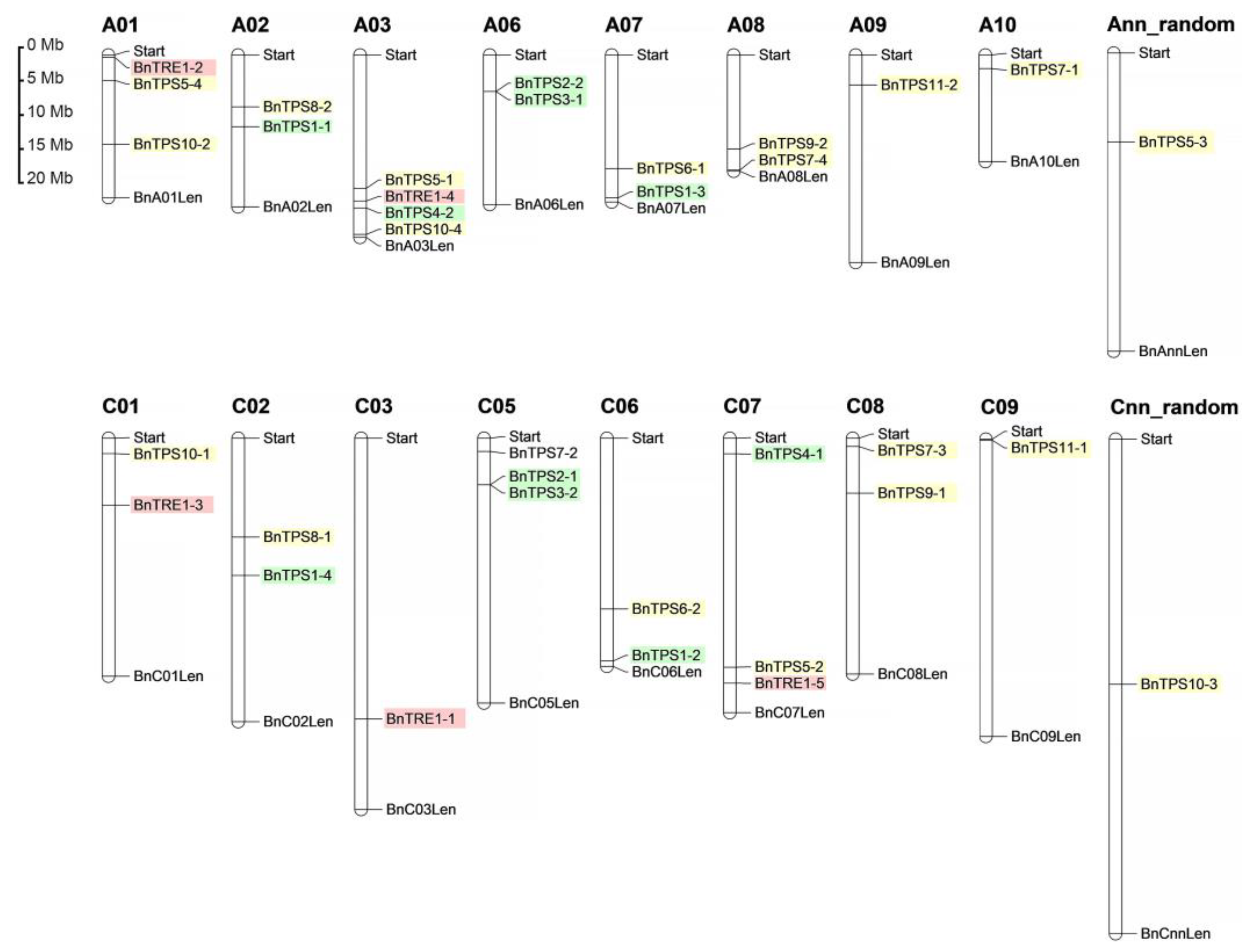 Plants 12 00981 g003 Plants 12 00981 g003