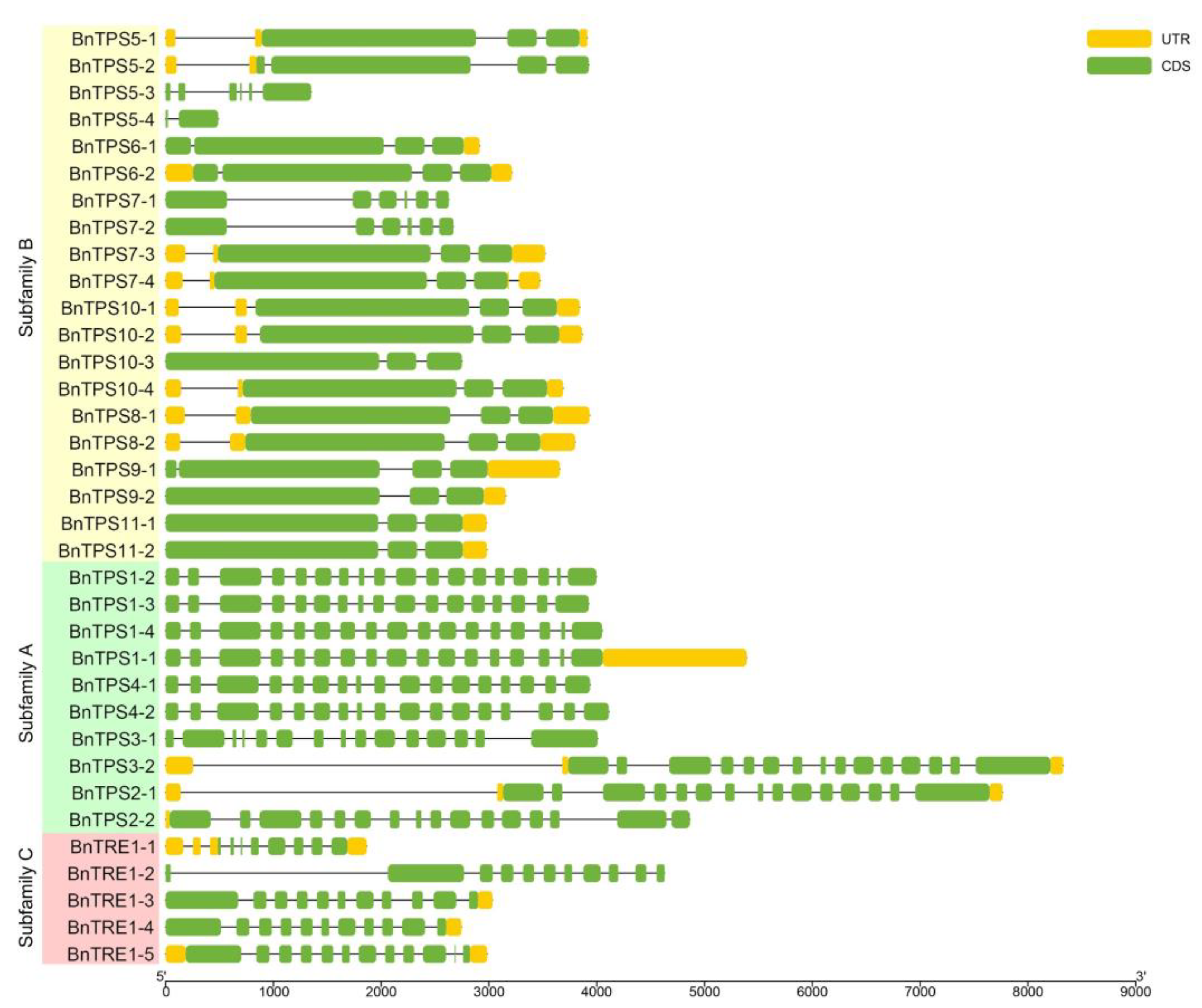 Plants 12 00981 g004 Plants 12 00981 g004