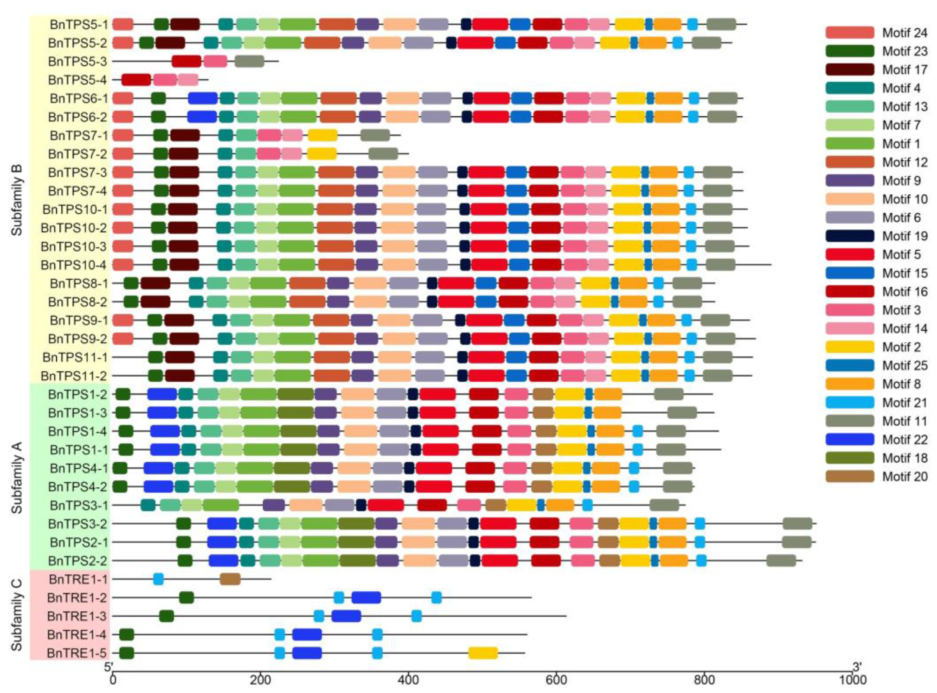 Plants 12 00981 g005 Plants 12 00981 g005
