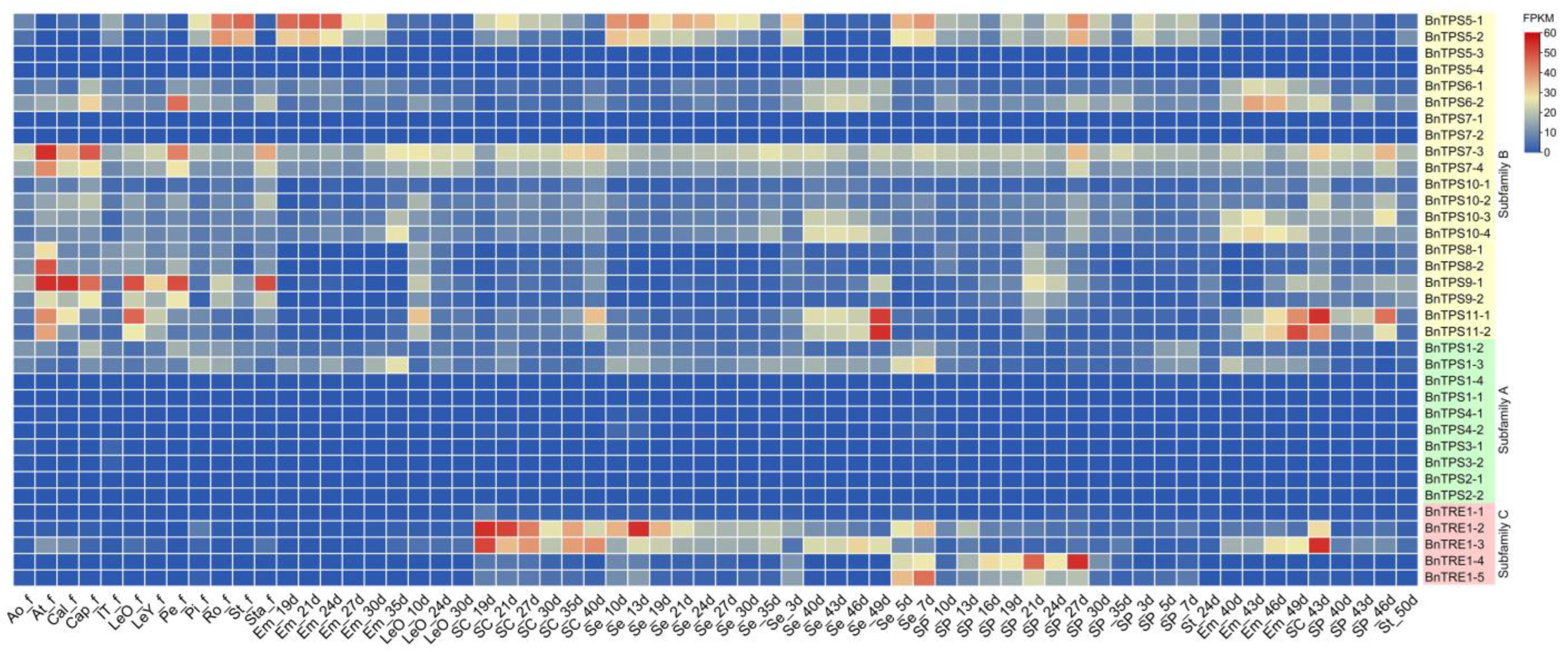Plants 12 00981 g006 Plants 12 00981 g006