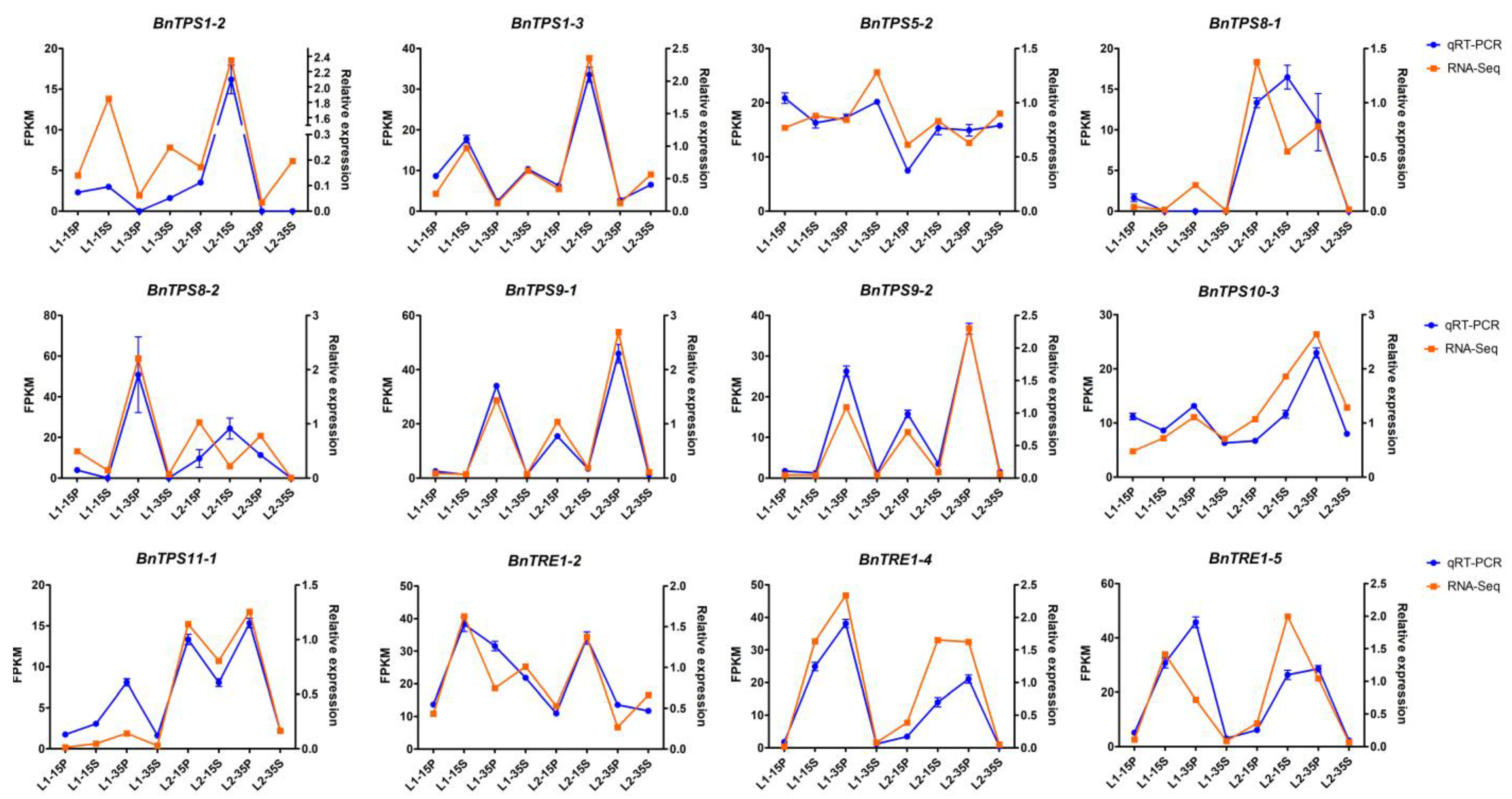 Plants 12 00981 g008 Plants 12 00981 g008