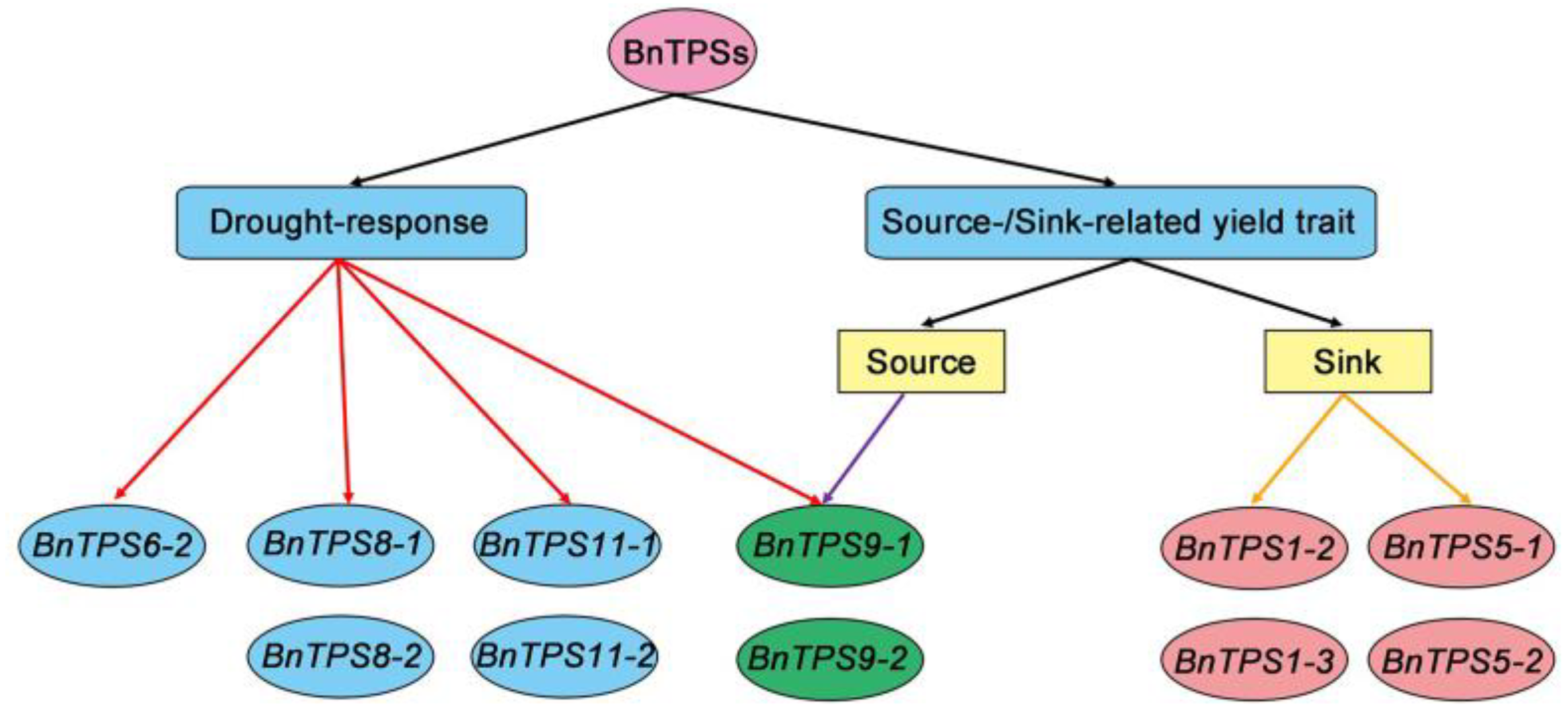 Plants 12 00981 g010 Plants 12 00981 g010