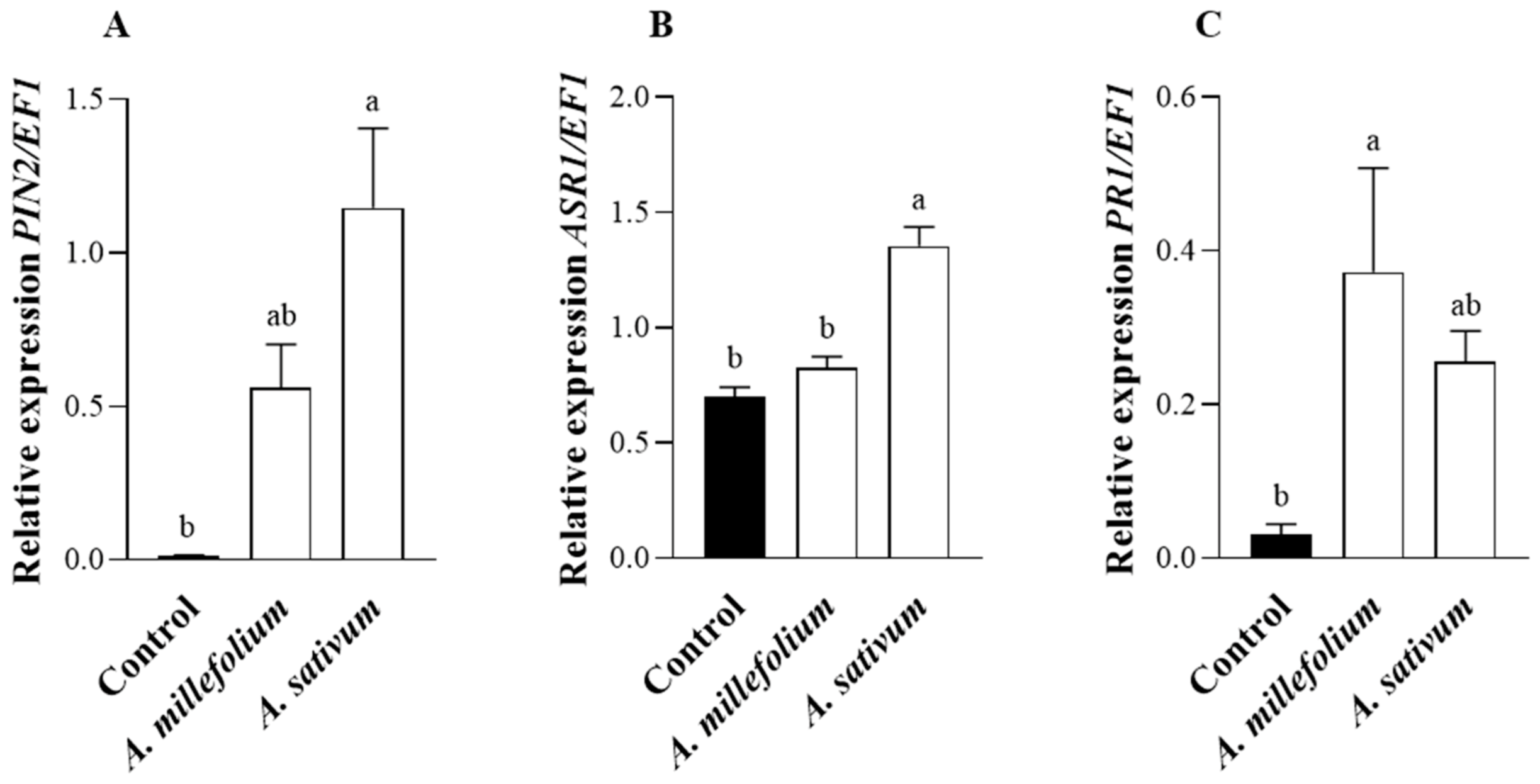 Plants 12 00985 g004 Plants 12 00985 g004