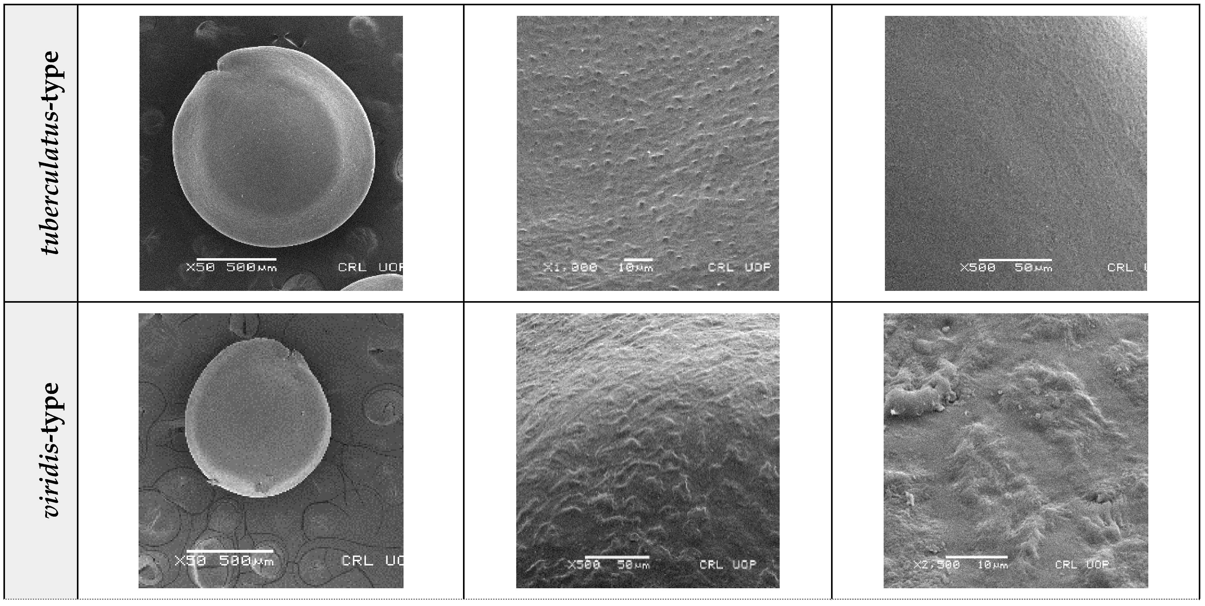 Plants 12 00987 g012b