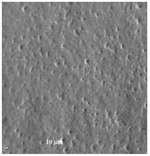 Plants 12 00987 i001