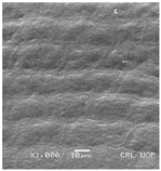 Plants 12 00987 i008