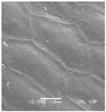 Plants 12 00987 i011