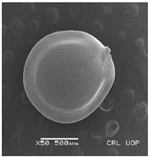 Plants 12 00987 i013