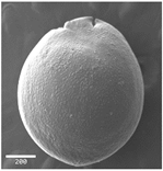 Plants 12 00987 i014