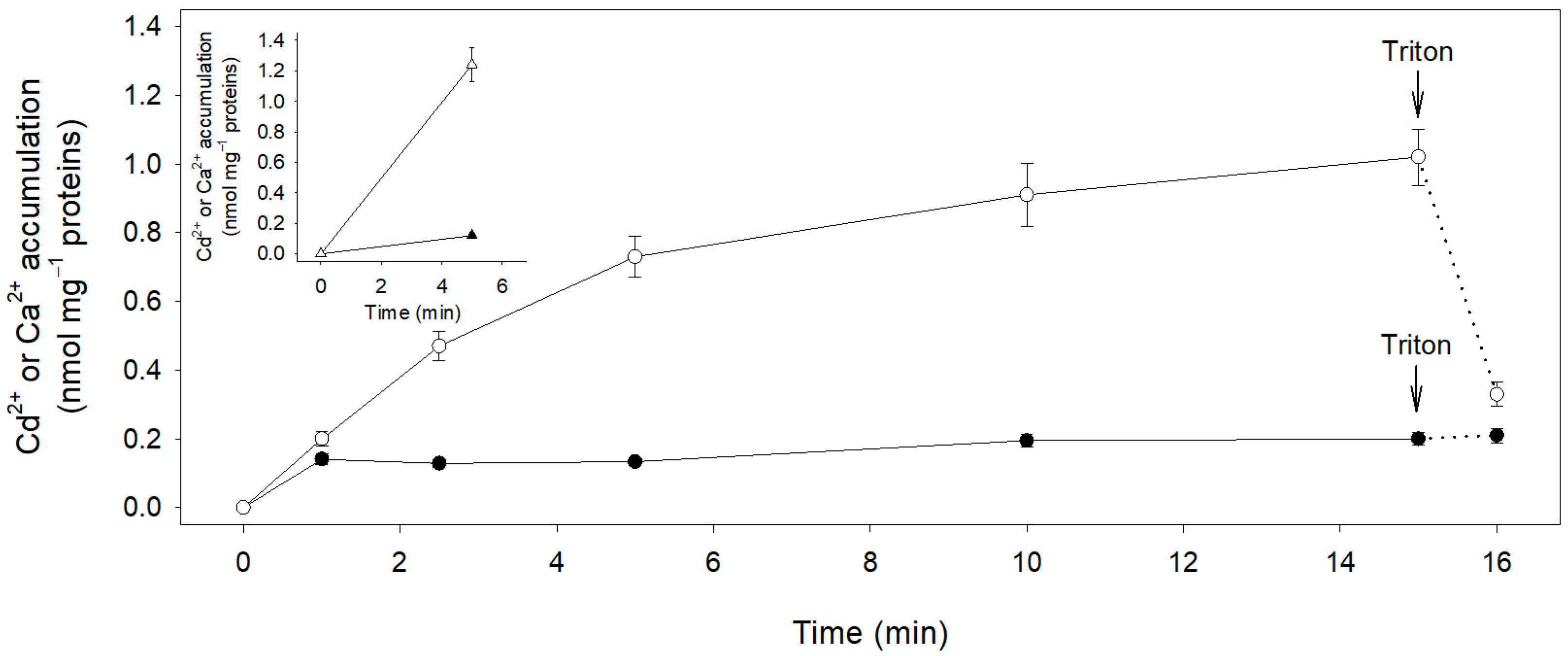Plants 12 00992 g003 Plants 12 00992 g003