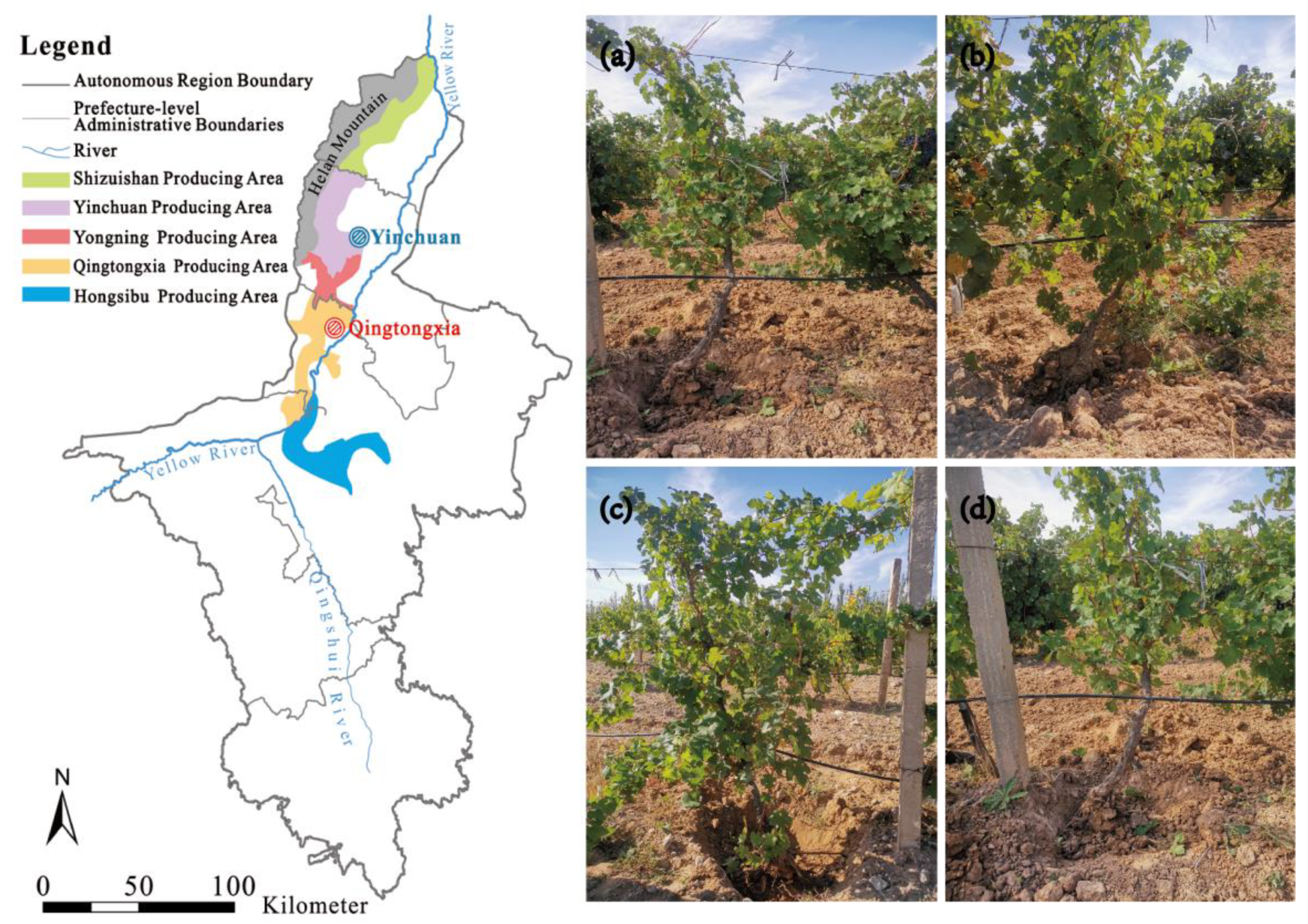 Plants 12 00997 g001