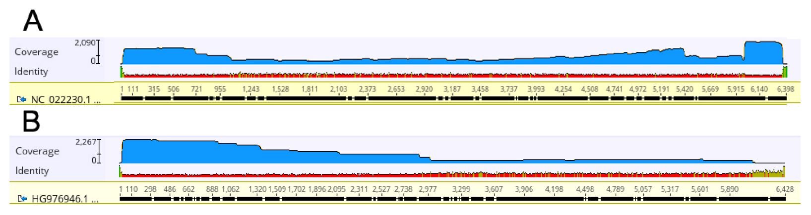 Plants 12 00999 g005 Plants 12 00999 g005