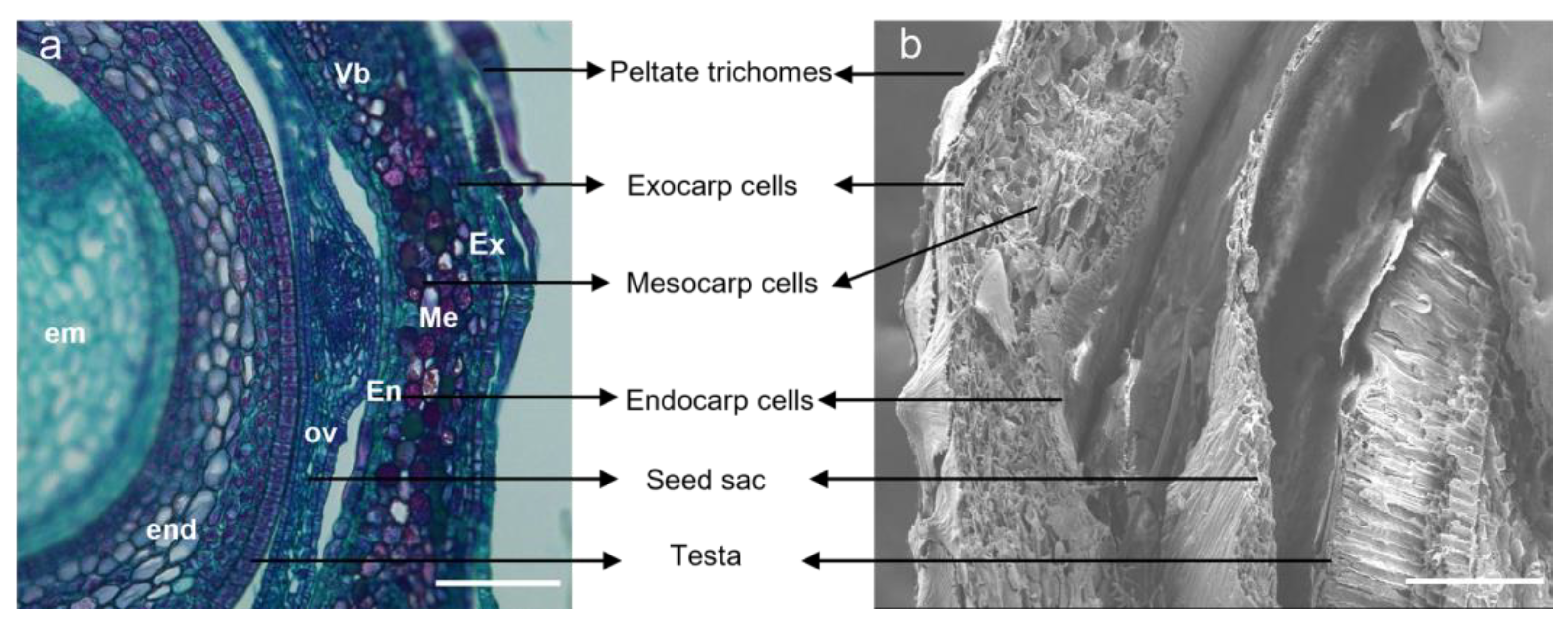 Plants 12 01005 g005 Plants 12 01005 g005