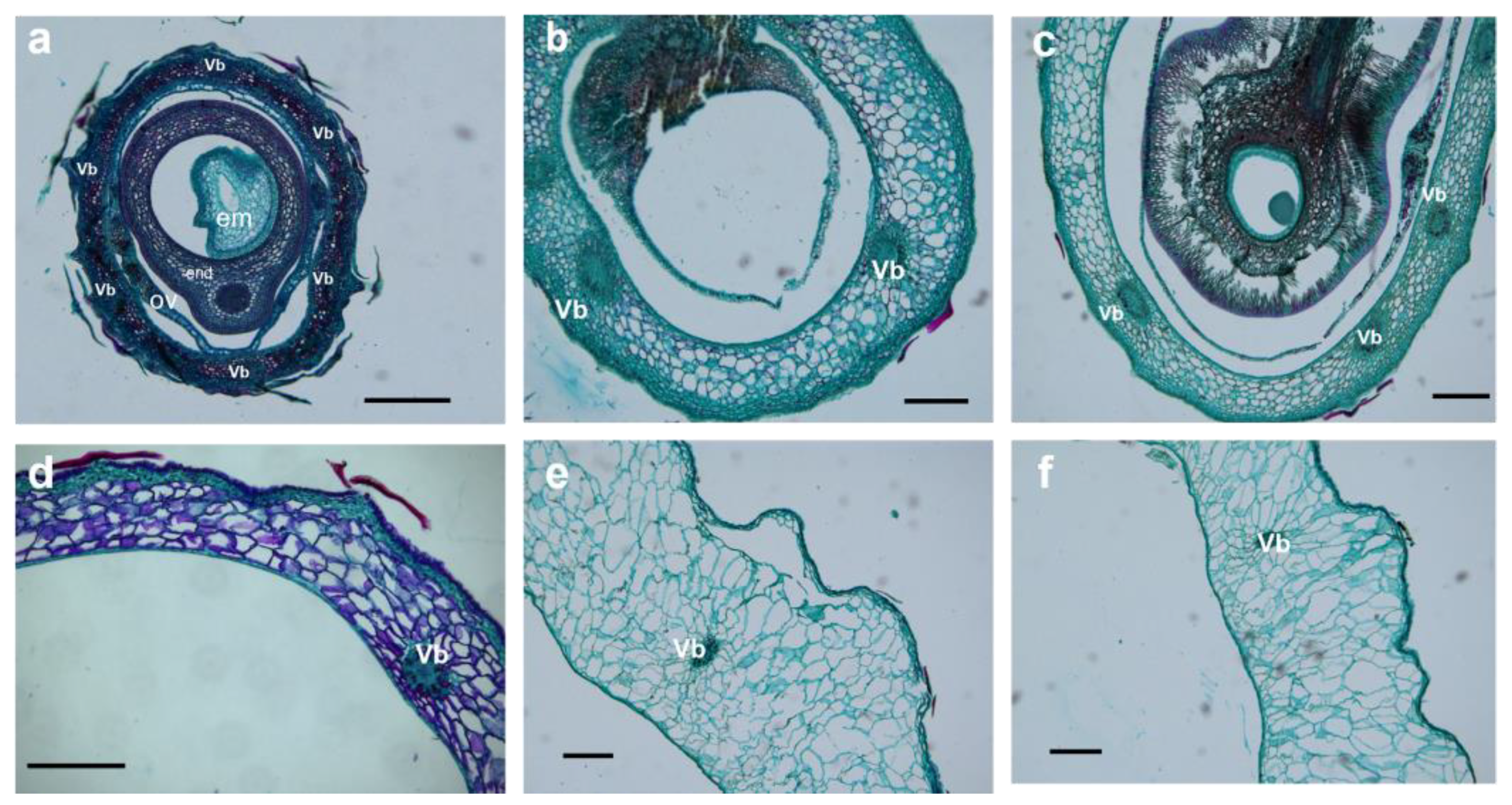 Plants 12 01005 g006 Plants 12 01005 g006